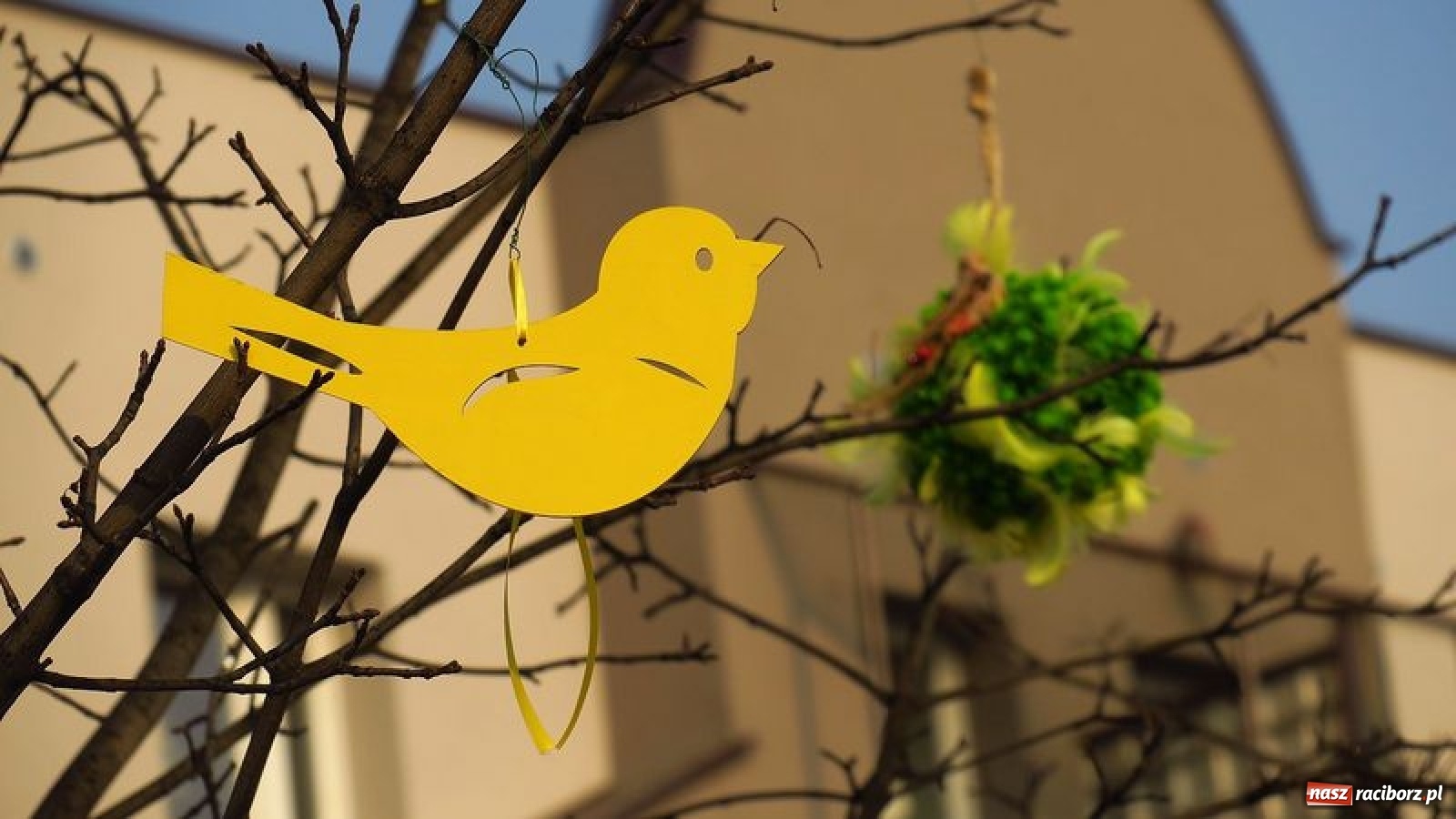 Zdjęcie w galerii na portalu naszraciborz.pl: Malinowe zające, wielkie jajo i żółte ptaszki. Miasta gotowe na Wielkanoc wiadomości z regionu