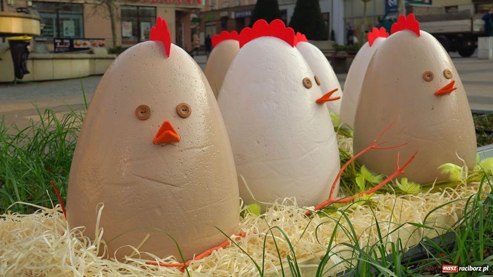 Zdjęcie w galerii na portalu naszraciborz.pl: Malinowe zające, wielkie jajo i żółte ptaszki. Miasta gotowe na Wielkanoc wiadomości z regionu