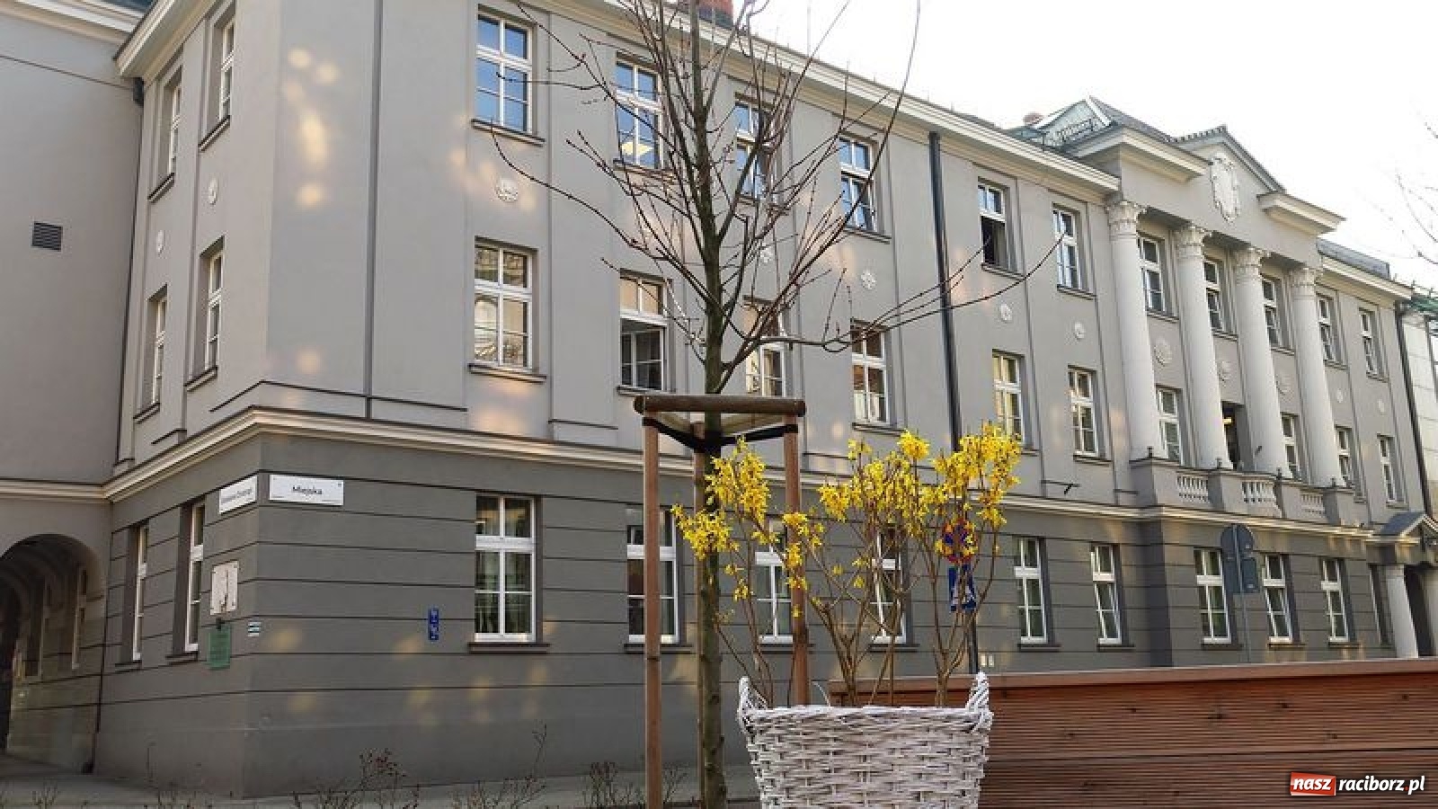 Zdjęcie w galerii na portalu naszraciborz.pl: Malinowe zające, wielkie jajo i żółte ptaszki. Miasta gotowe na Wielkanoc wiadomości z regionu