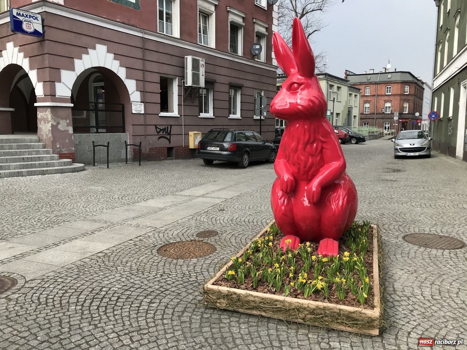 Zdjęcie w galerii na portalu naszraciborz.pl: Malinowe zające, wielkie jajo i żółte ptaszki. Miasta gotowe na Wielkanoc wiadomości z regionu