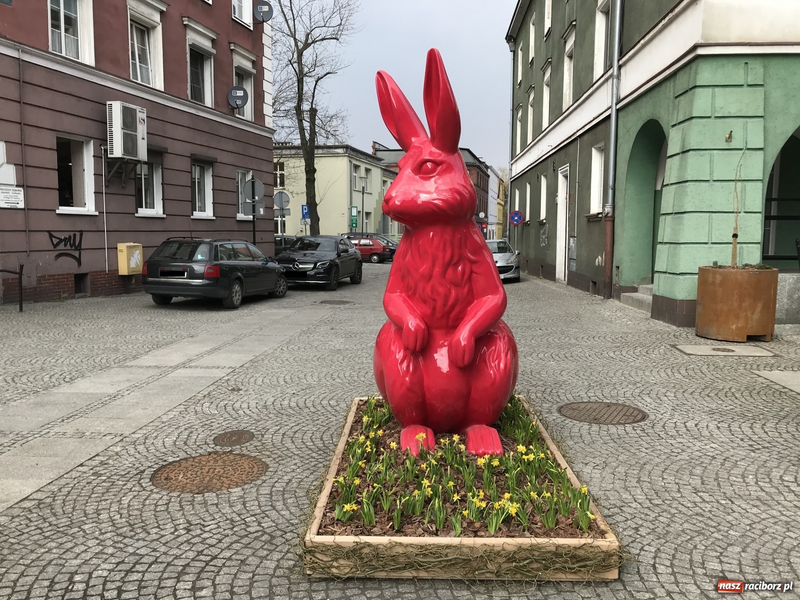 Zdjęcie w galerii na portalu naszraciborz.pl: Malinowe zające, wielkie jajo i żółte ptaszki. Miasta gotowe na Wielkanoc wiadomości z regionu