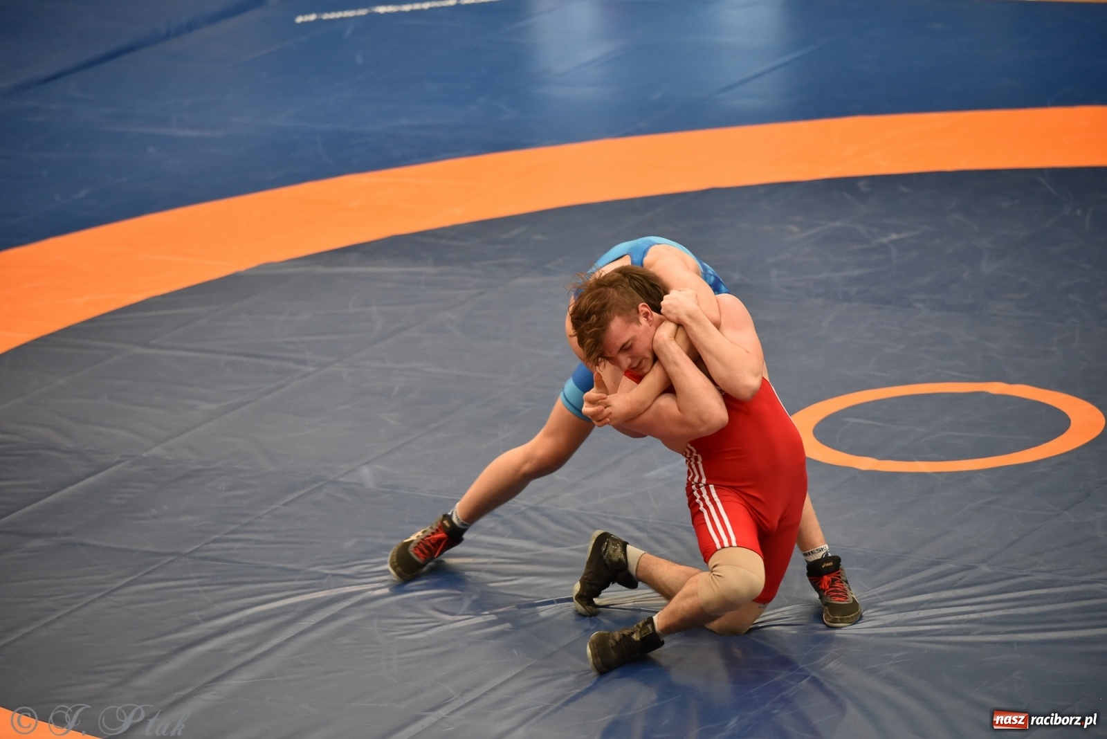 Zdjęcie w galerii na portalu naszraciborz.pl: Trzy złota dla Unii Racibórz na Pucharze Polski [WIDEO] wiadomości z regionu