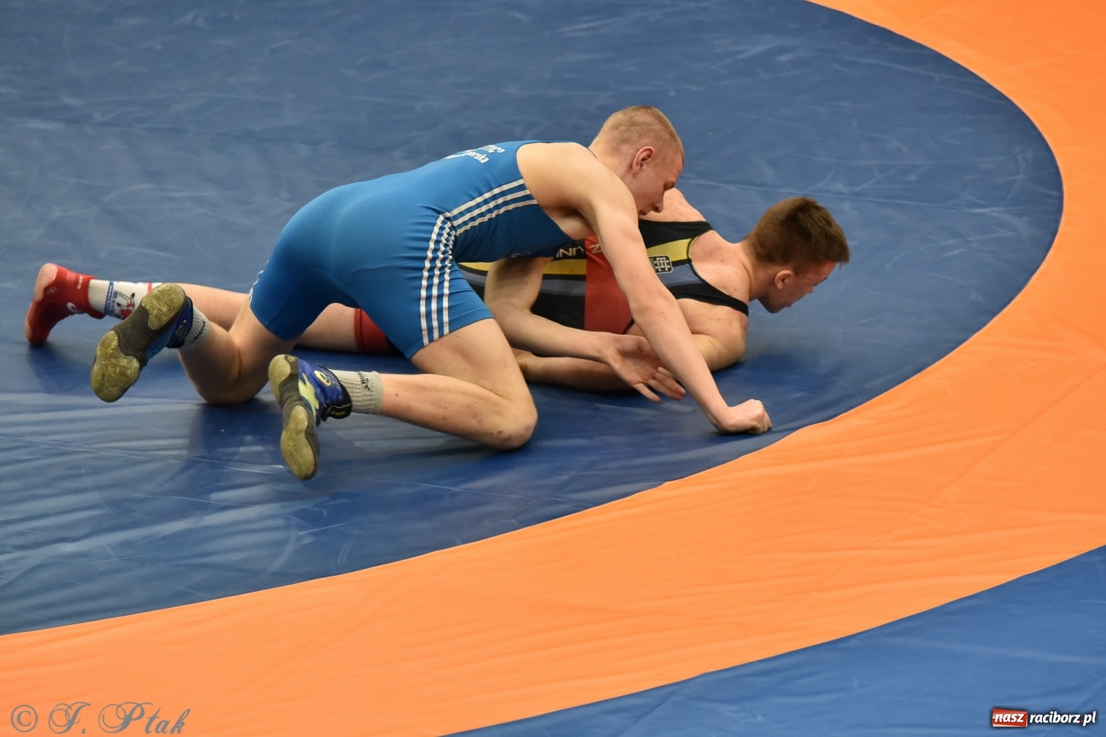 Zdjęcie w galerii na portalu naszraciborz.pl: Trzy złota dla Unii Racibórz na Pucharze Polski [WIDEO] wiadomości z regionu