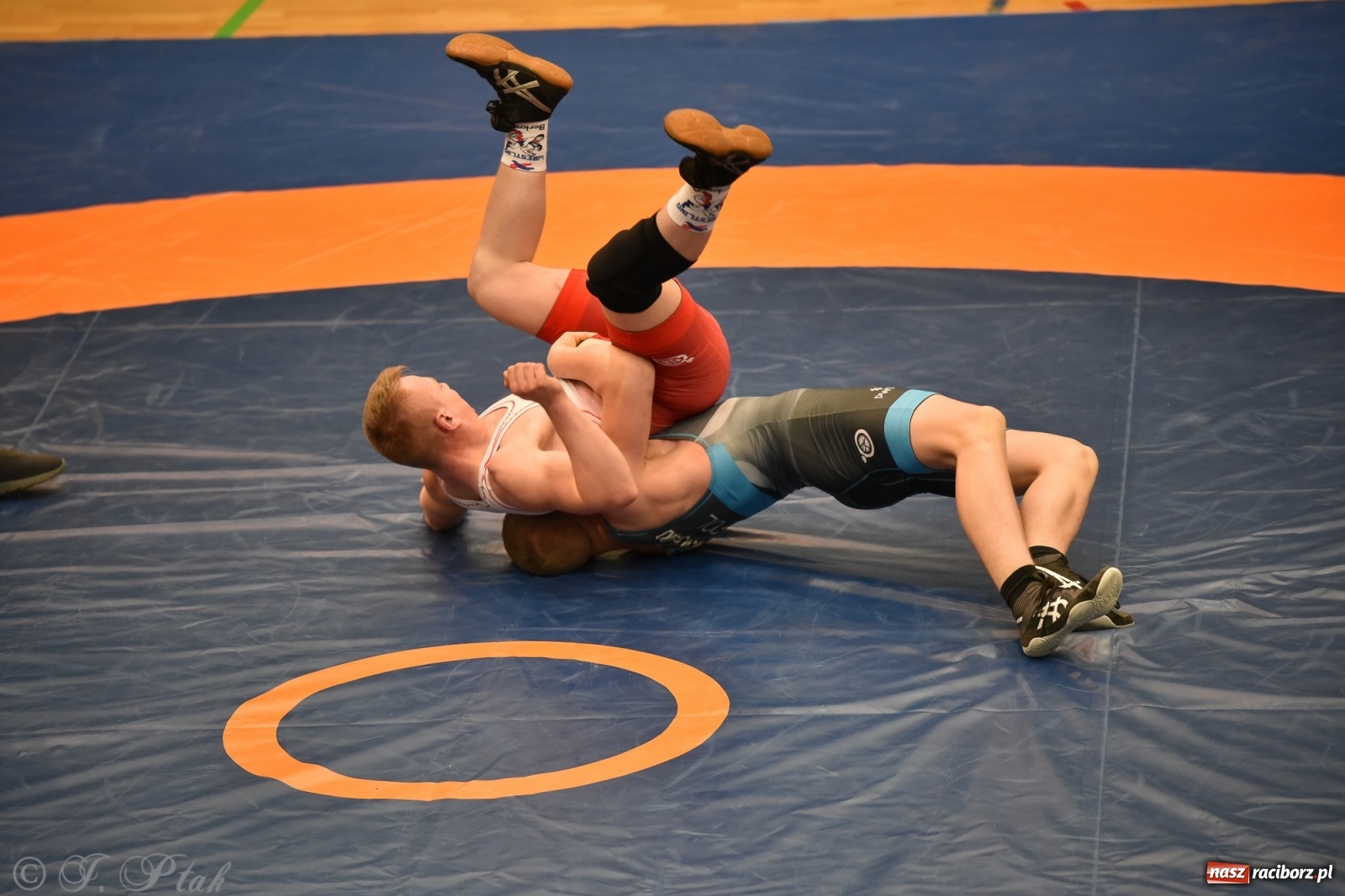 Zdjęcie w galerii na portalu naszraciborz.pl: Trzy złota dla Unii Racibórz na Pucharze Polski [WIDEO] wiadomości z regionu