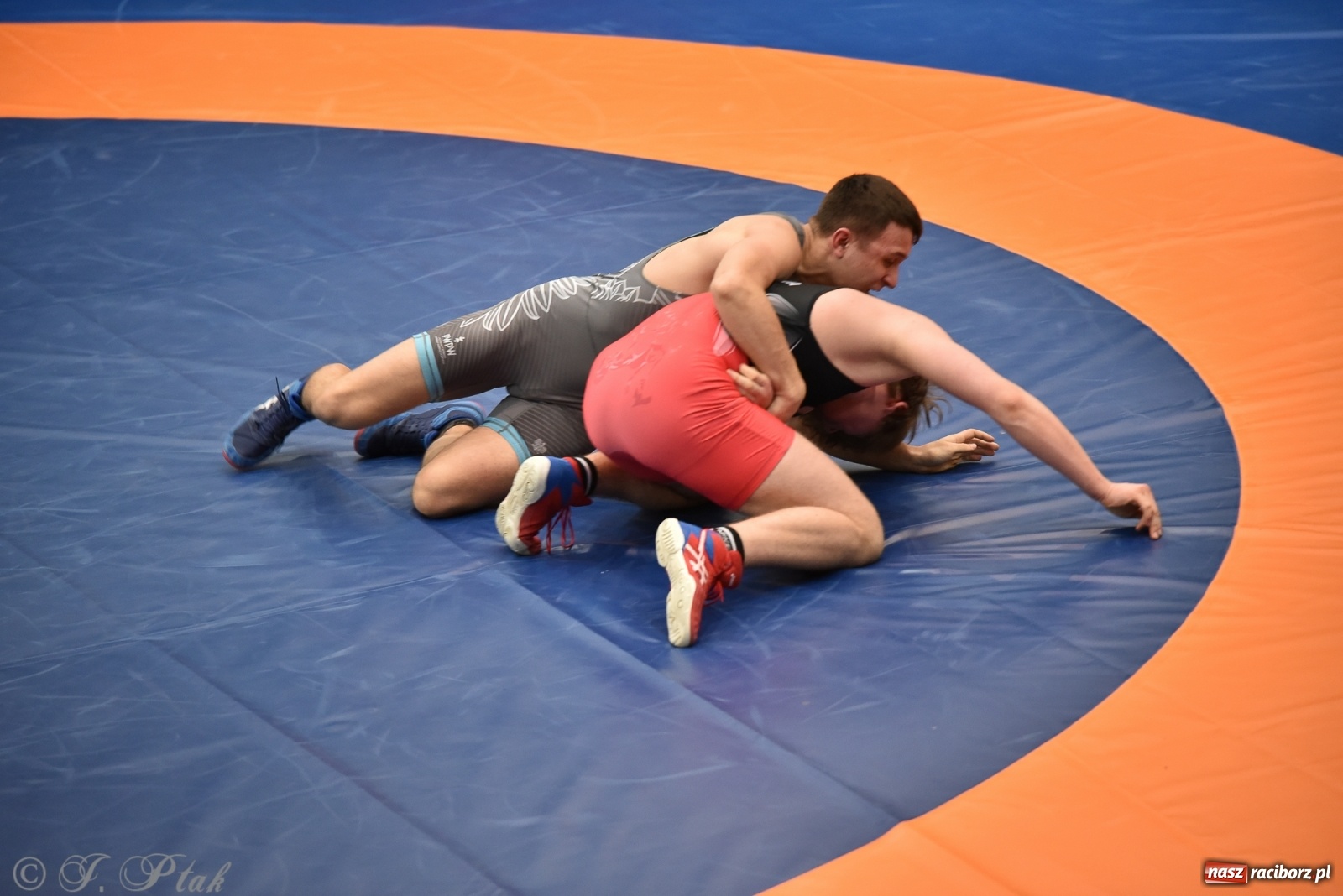 Zdjęcie w galerii na portalu naszraciborz.pl: Trzy złota dla Unii Racibórz na Pucharze Polski [WIDEO] wiadomości z regionu