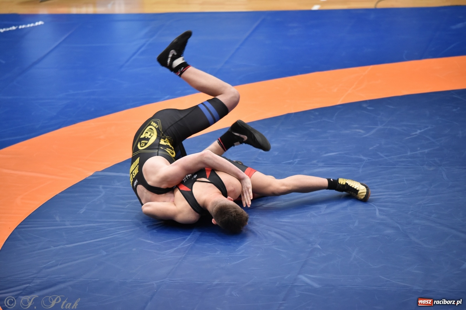 Zdjęcie w galerii na portalu naszraciborz.pl: Trzy złota dla Unii Racibórz na Pucharze Polski [WIDEO] wiadomości z regionu