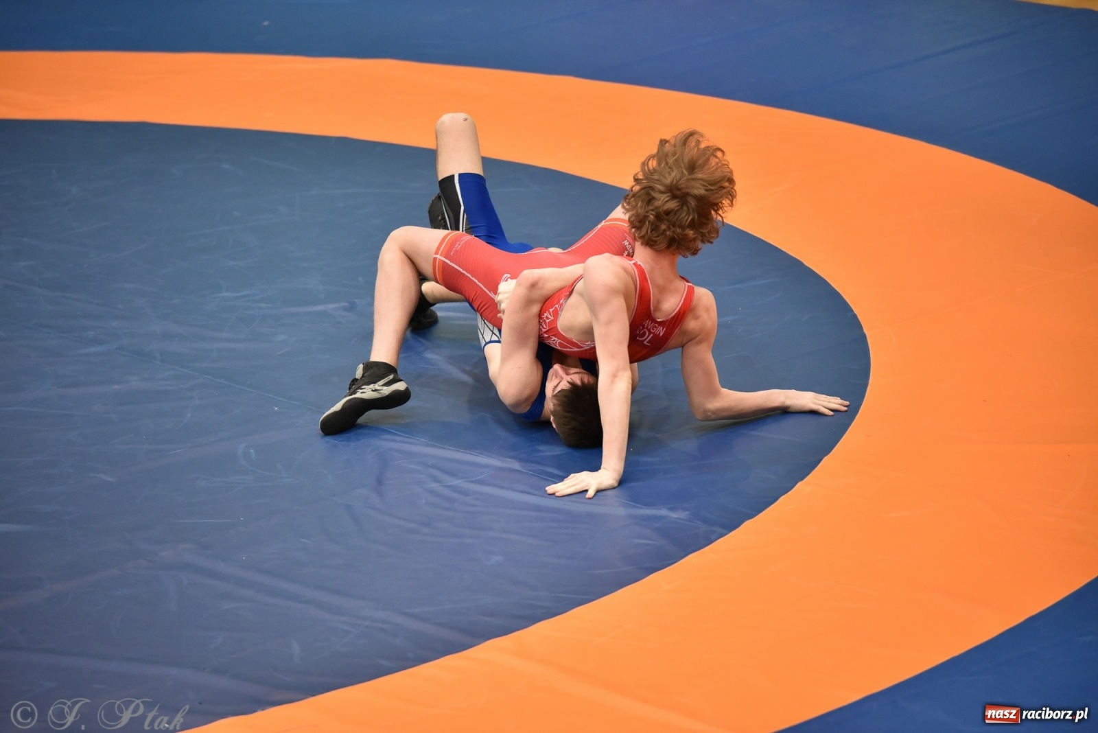 Zdjęcie w galerii na portalu naszraciborz.pl: Trzy złota dla Unii Racibórz na Pucharze Polski [WIDEO] wiadomości z regionu