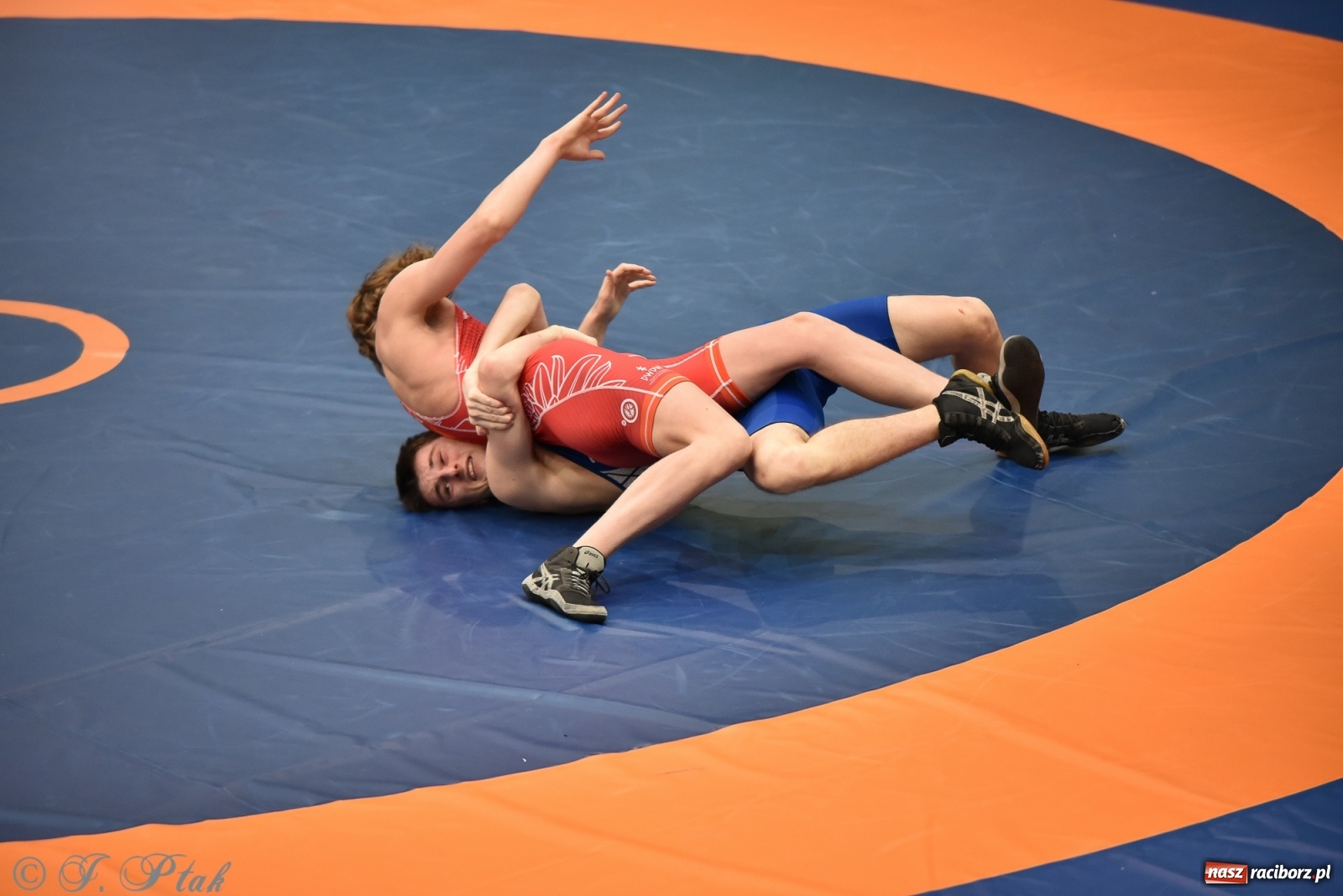 Zdjęcie w galerii na portalu naszraciborz.pl: Trzy złota dla Unii Racibórz na Pucharze Polski [WIDEO] wiadomości z regionu