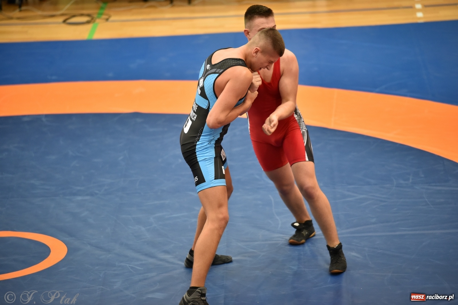 Zdjęcie w galerii na portalu naszraciborz.pl: Trzy złota dla Unii Racibórz na Pucharze Polski [WIDEO] wiadomości z regionu