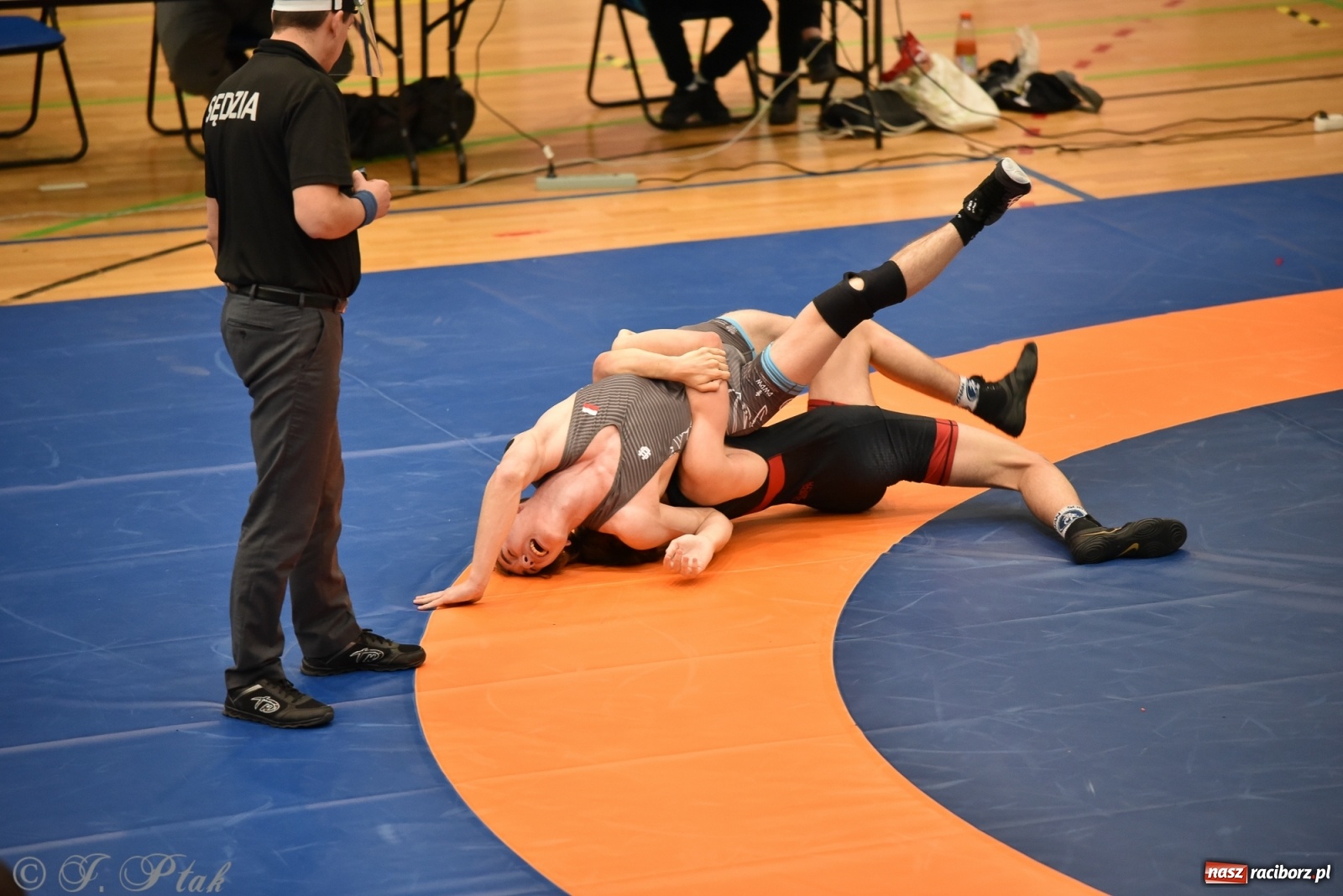 Zdjęcie w galerii na portalu naszraciborz.pl: Trzy złota dla Unii Racibórz na Pucharze Polski [WIDEO] wiadomości z regionu