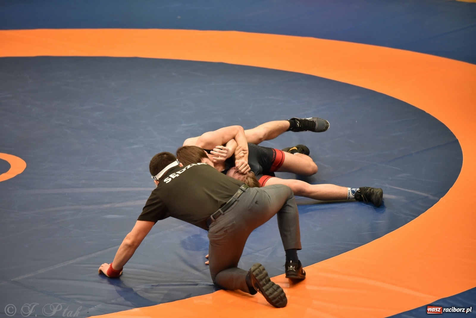 Zdjęcie w galerii na portalu naszraciborz.pl: Trzy złota dla Unii Racibórz na Pucharze Polski [WIDEO] wiadomości z regionu