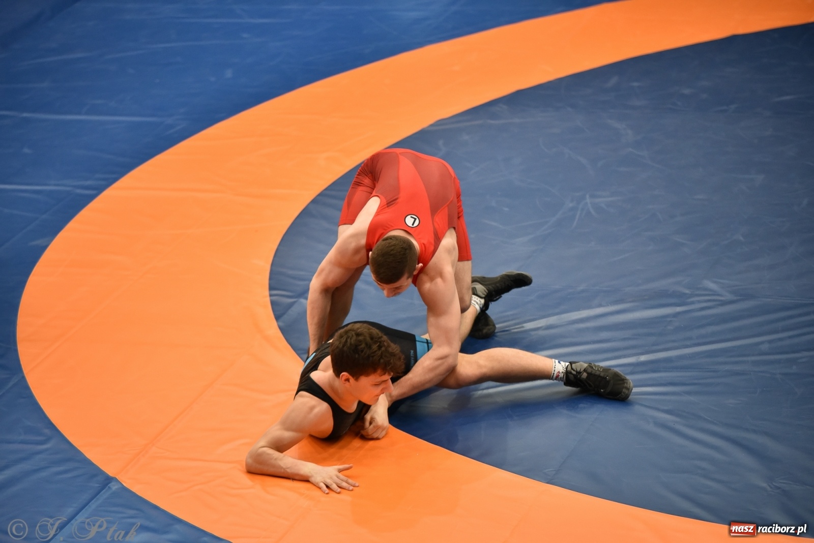 Zdjęcie w galerii na portalu naszraciborz.pl: Trzy złota dla Unii Racibórz na Pucharze Polski [WIDEO] wiadomości z regionu