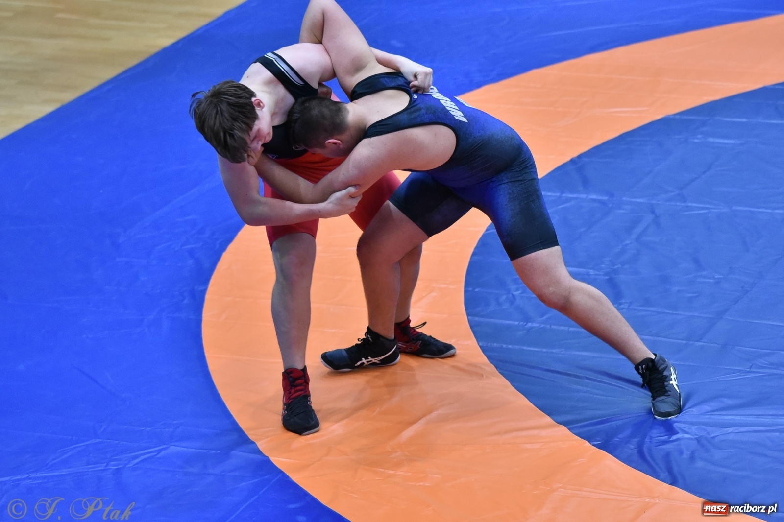 Zdjęcie w galerii na portalu naszraciborz.pl: Trzy złota dla Unii Racibórz na Pucharze Polski [WIDEO] wiadomości z regionu