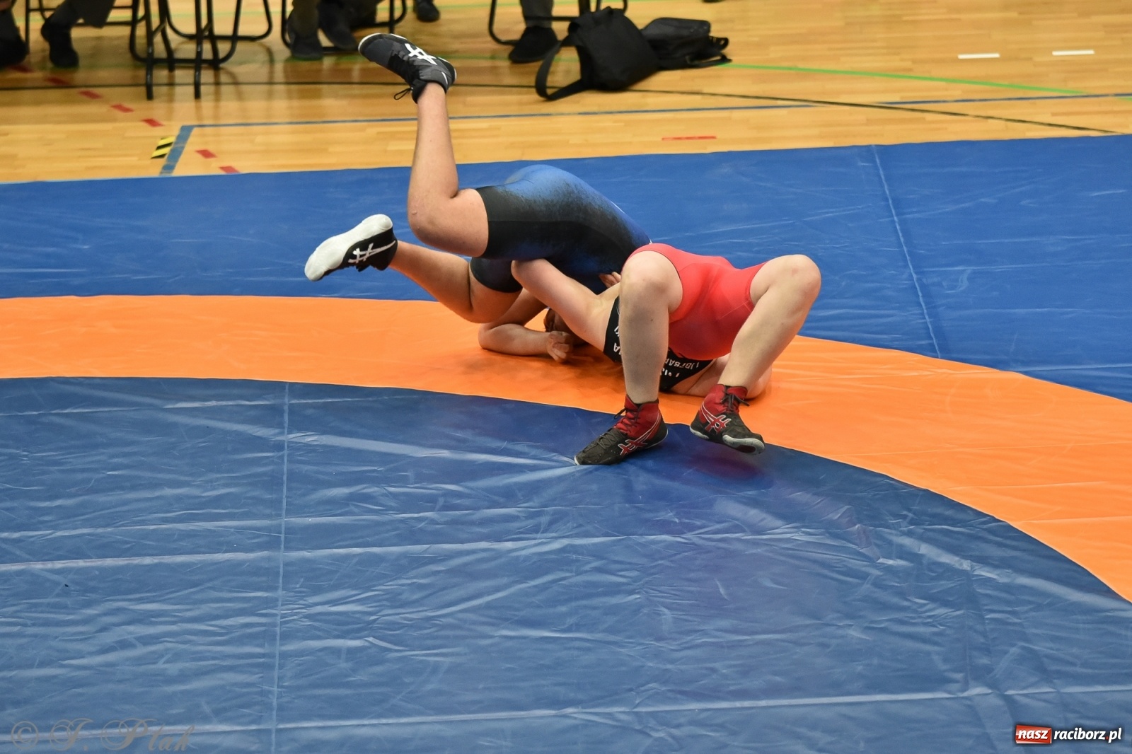 Zdjęcie w galerii na portalu naszraciborz.pl: Trzy złota dla Unii Racibórz na Pucharze Polski [WIDEO] wiadomości z regionu