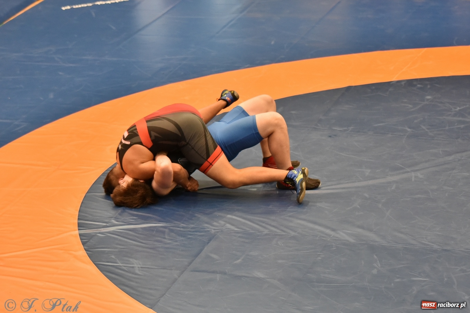 Zdjęcie w galerii na portalu naszraciborz.pl: Trzy złota dla Unii Racibórz na Pucharze Polski [WIDEO] wiadomości z regionu