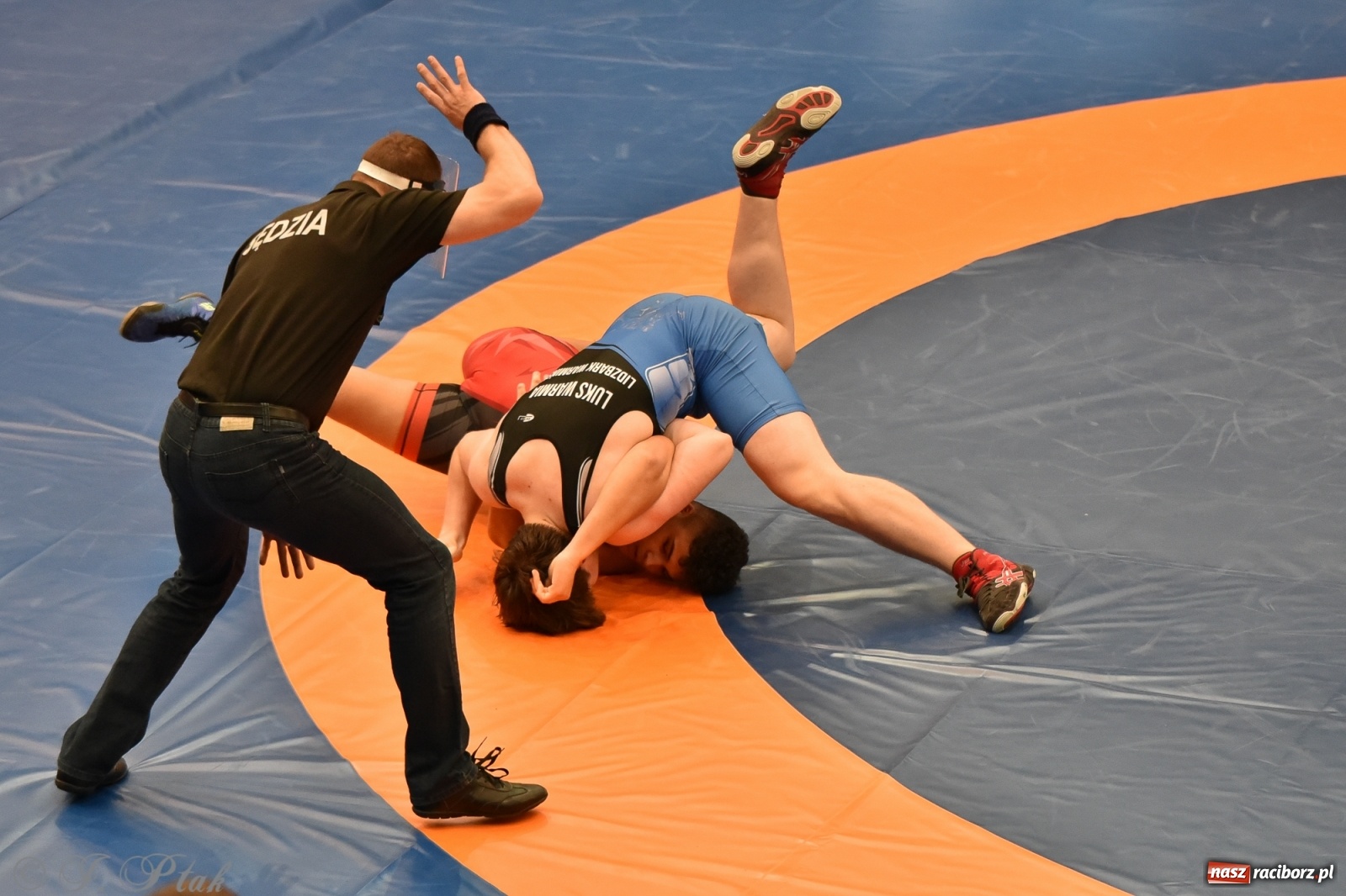 Zdjęcie w galerii na portalu naszraciborz.pl: Trzy złota dla Unii Racibórz na Pucharze Polski [WIDEO] wiadomości z regionu