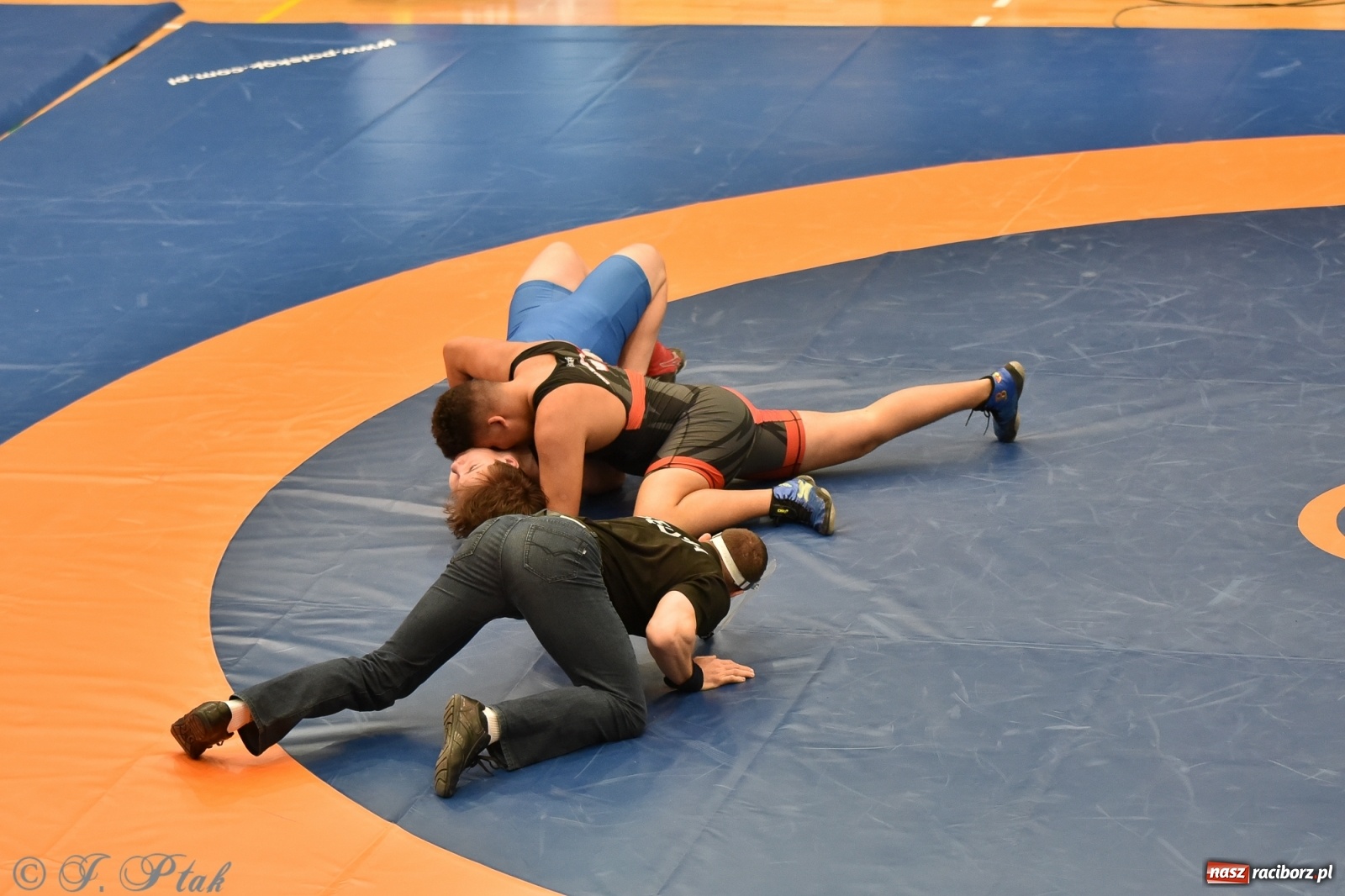 Zdjęcie w galerii na portalu naszraciborz.pl: Trzy złota dla Unii Racibórz na Pucharze Polski [WIDEO] wiadomości z regionu