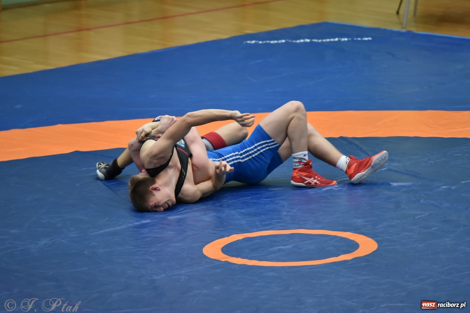 Zdjęcie w galerii na portalu naszraciborz.pl: Trzy złota dla Unii Racibórz na Pucharze Polski [WIDEO] wiadomości z regionu