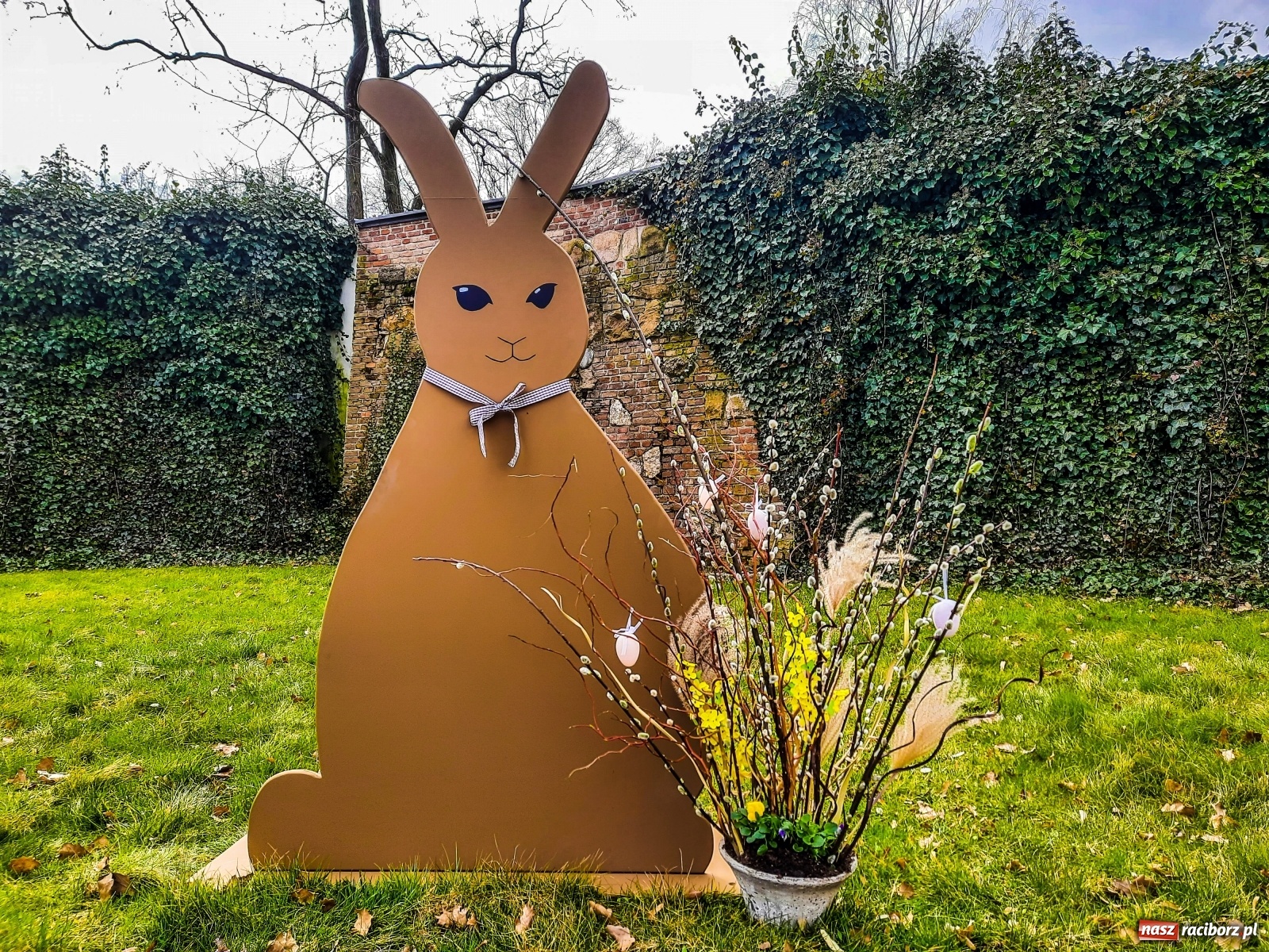 Zdjęcie w galerii na portalu naszraciborz.pl: Raciborski Browar chce wejść do Industriady wiadomości z regionu