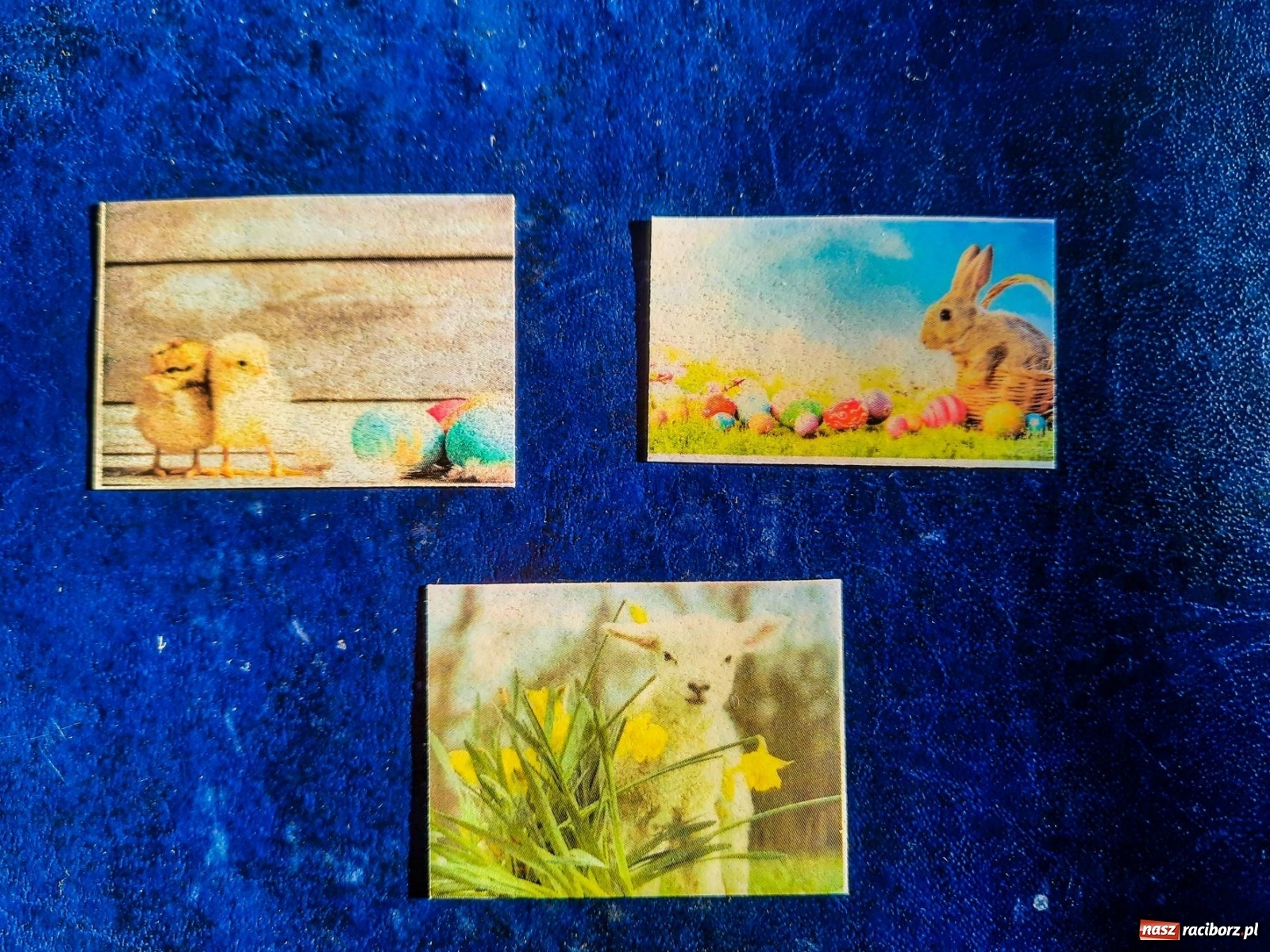 Zdjęcie w galerii na portalu naszraciborz.pl: Odbierz prezent - niespodziankę od zamkowego zajączka wiadomości z regionu