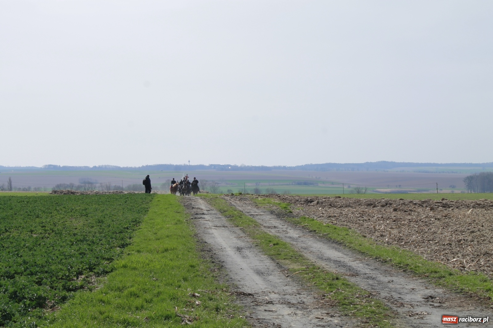 Zdjęcie w galerii na portalu naszraciborz.pl: Procesja wielkanocna w Bieńkowicach [FOTO i WIDEO] wiadomości z regionu