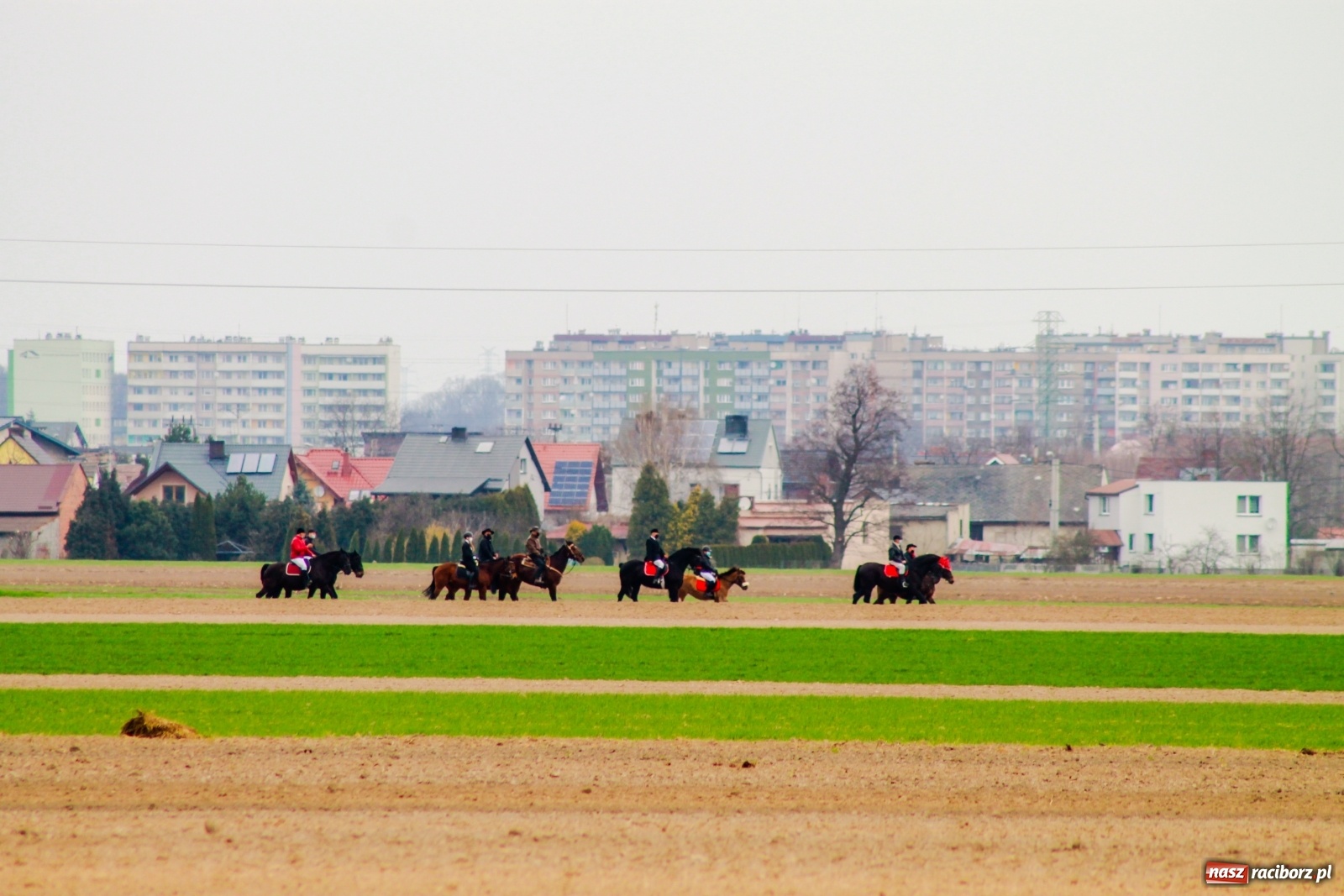 Zdjęcie w galerii na portalu naszraciborz.pl: Sudół nie zaniechał tradycji. Ruszyła procesja konna [FOTO i WIDEO] wiadomości z regionu