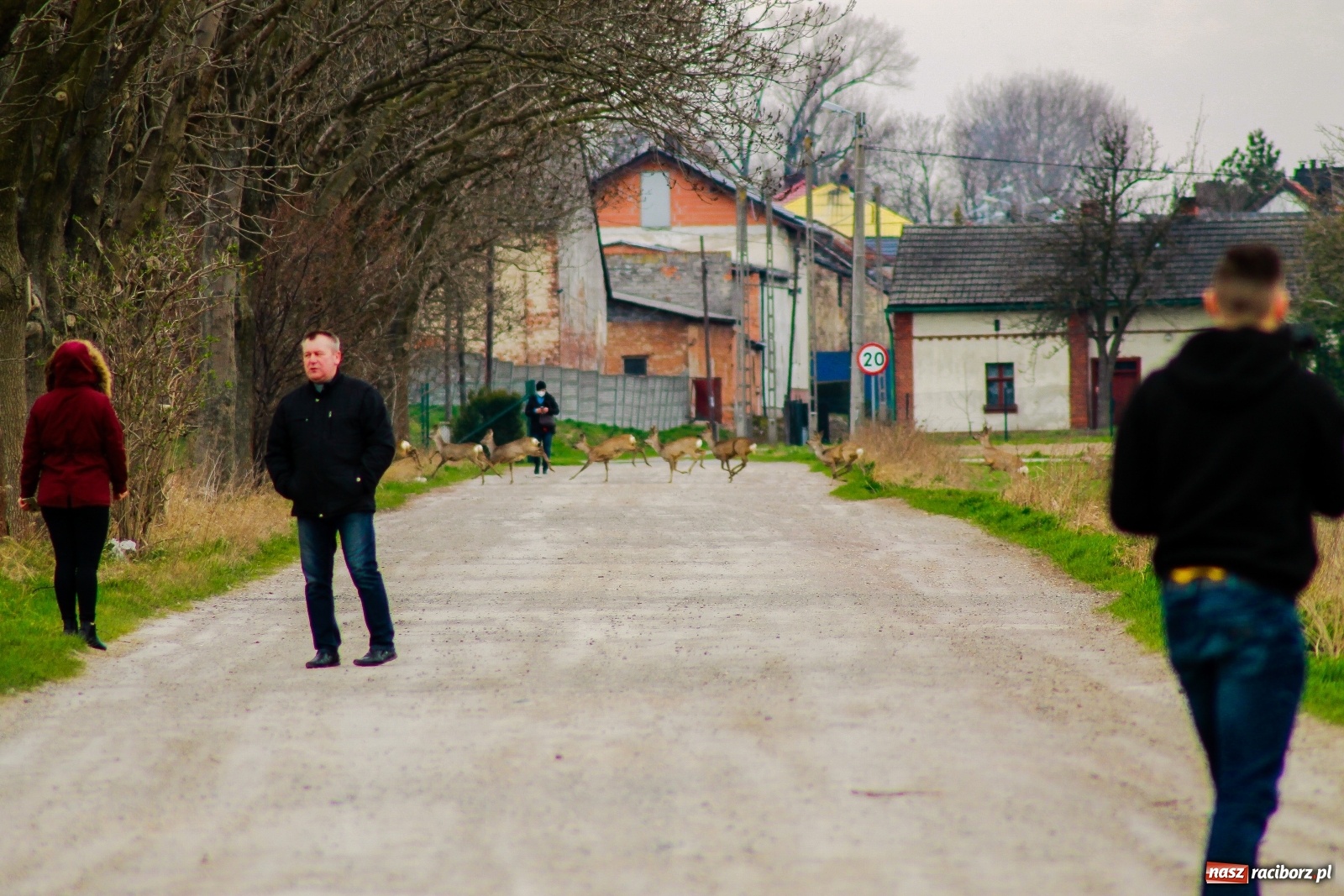 Zdjęcie w galerii na portalu naszraciborz.pl: Sudół nie zaniechał tradycji. Ruszyła procesja konna [FOTO i WIDEO] wiadomości z regionu