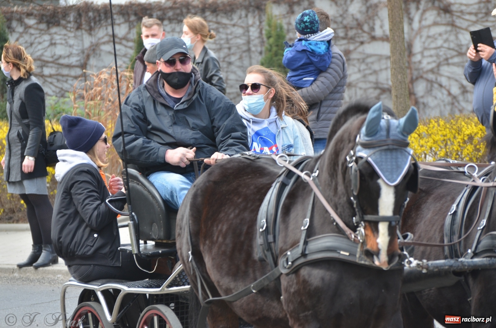 Zdjęcie w galerii na portalu naszraciborz.pl: Wielkanocne procesje konne w obiektywie [FOTO] wiadomości z regionu
