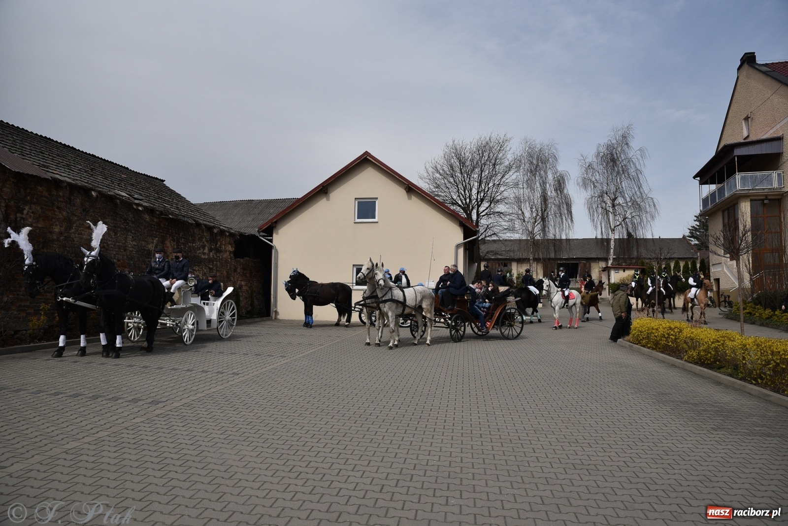 Zdjęcie w galerii na portalu naszraciborz.pl: Wielkanocne procesje konne w obiektywie [FOTO] wiadomości z regionu