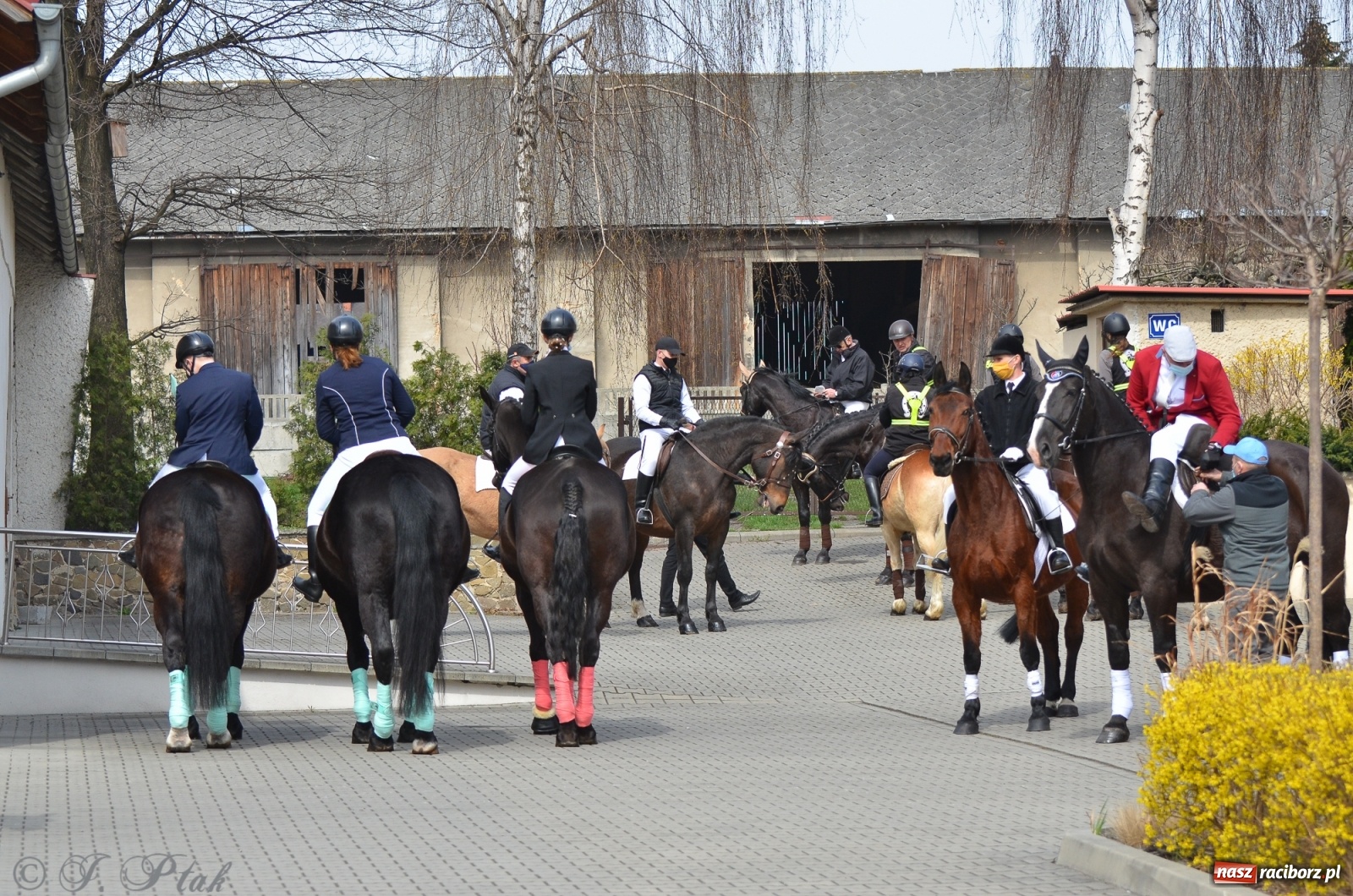 Zdjęcie w galerii na portalu naszraciborz.pl: Wielkanocne procesje konne w obiektywie [FOTO] wiadomości z regionu