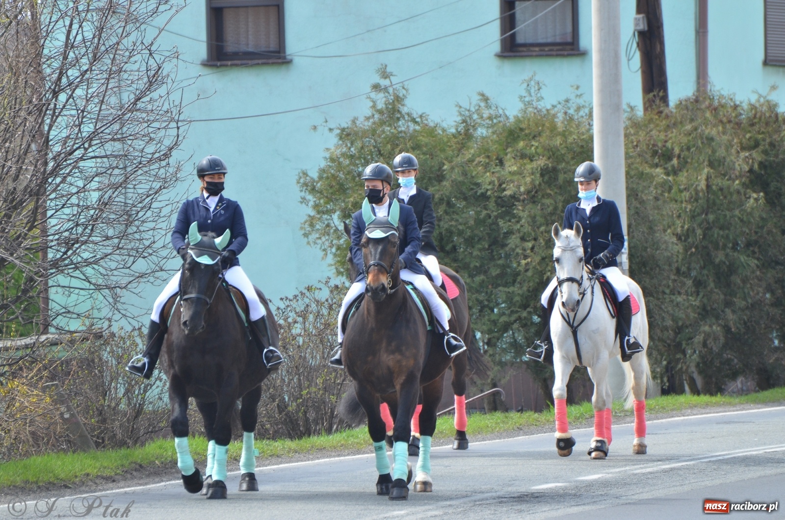 Zdjęcie w galerii na portalu naszraciborz.pl: Wielkanocne procesje konne w obiektywie [FOTO] wiadomości z regionu