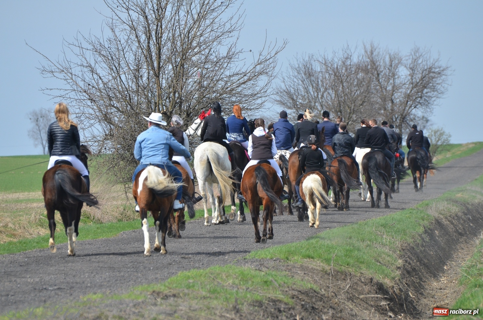 Zdjęcie w galerii na portalu naszraciborz.pl: Wielkanocne procesje konne w obiektywie [FOTO] wiadomości z regionu