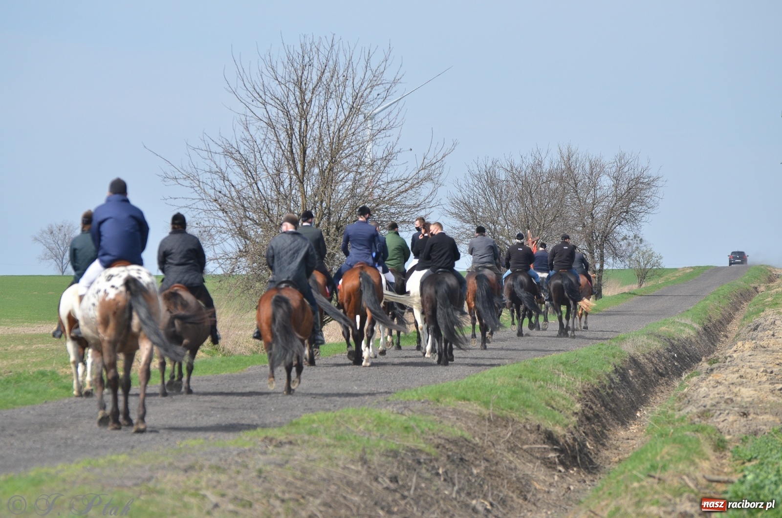 Zdjęcie w galerii na portalu naszraciborz.pl: Wielkanocne procesje konne w obiektywie [FOTO] wiadomości z regionu