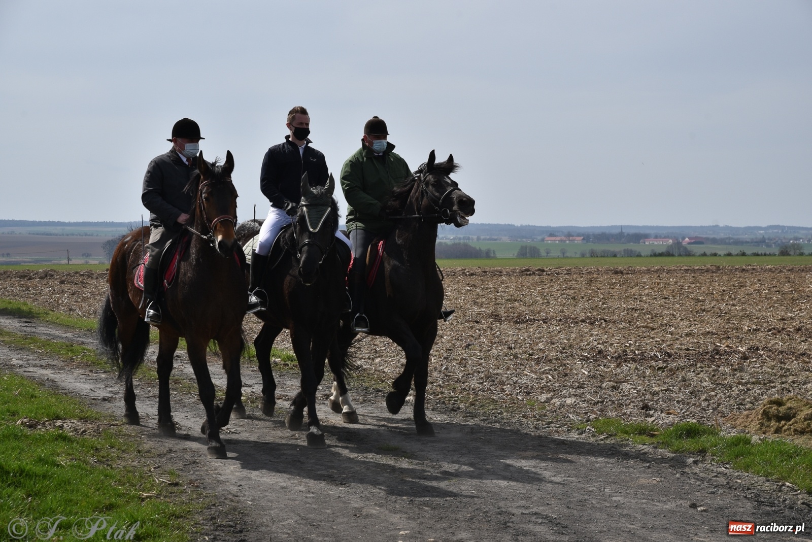 Zdjęcie w galerii na portalu naszraciborz.pl: Wielkanocne procesje konne w obiektywie [FOTO] wiadomości z regionu