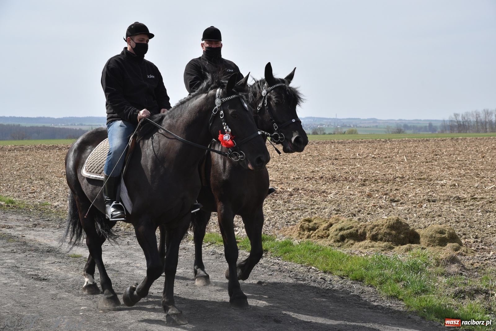 Zdjęcie w galerii na portalu naszraciborz.pl: Wielkanocne procesje konne w obiektywie [FOTO] wiadomości z regionu