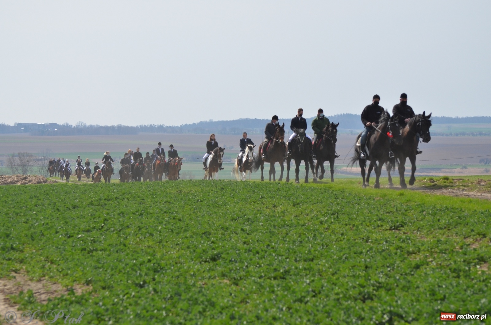 Zdjęcie w galerii na portalu naszraciborz.pl: Wielkanocne procesje konne w obiektywie [FOTO] wiadomości z regionu
