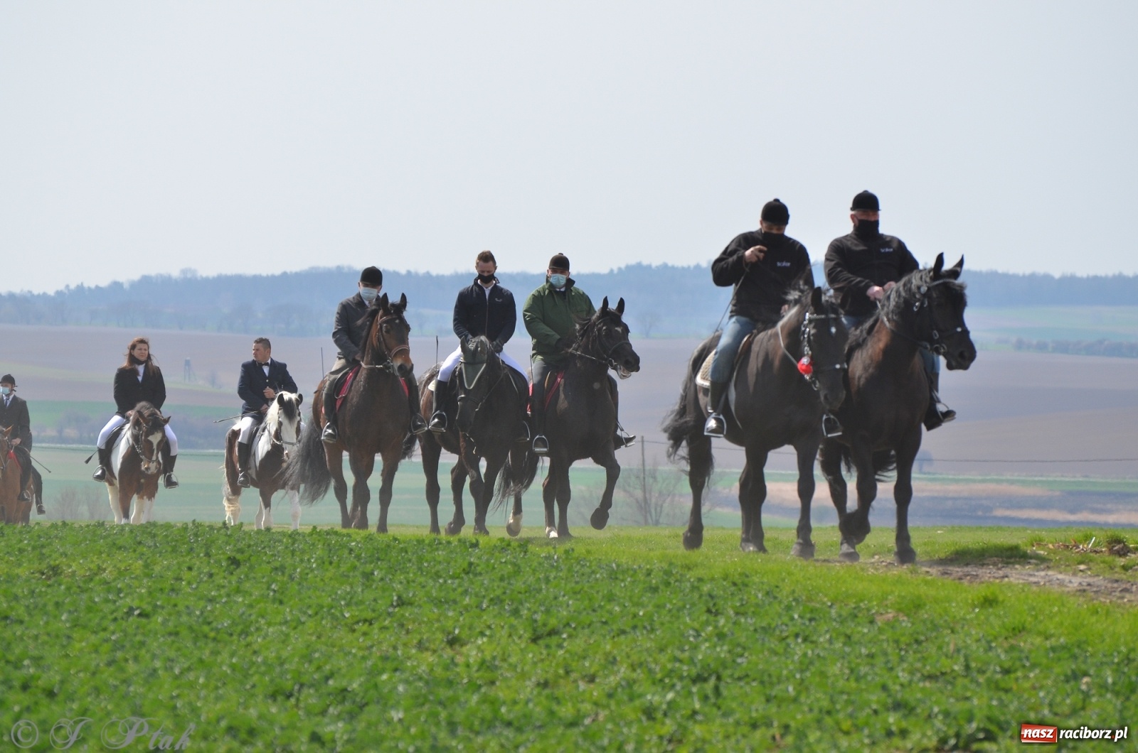 Zdjęcie w galerii na portalu naszraciborz.pl: Wielkanocne procesje konne w obiektywie [FOTO] wiadomości z regionu