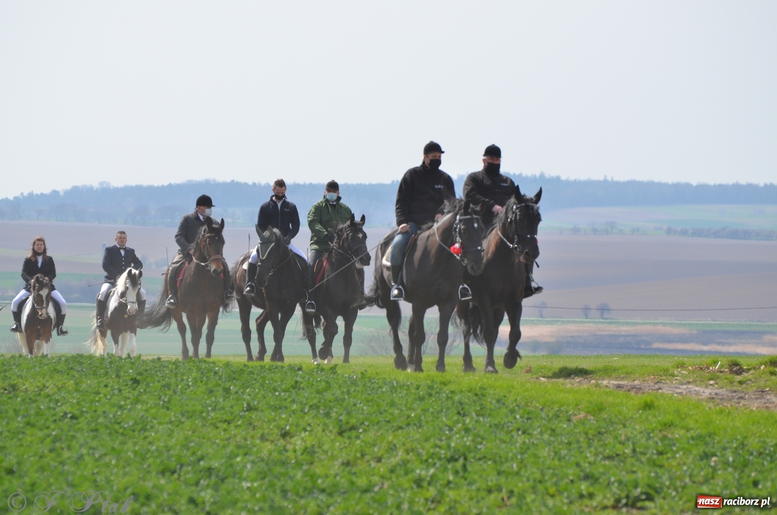 Zdjęcie w galerii na portalu naszraciborz.pl: Wielkanocne procesje konne w obiektywie [FOTO] wiadomości z regionu
