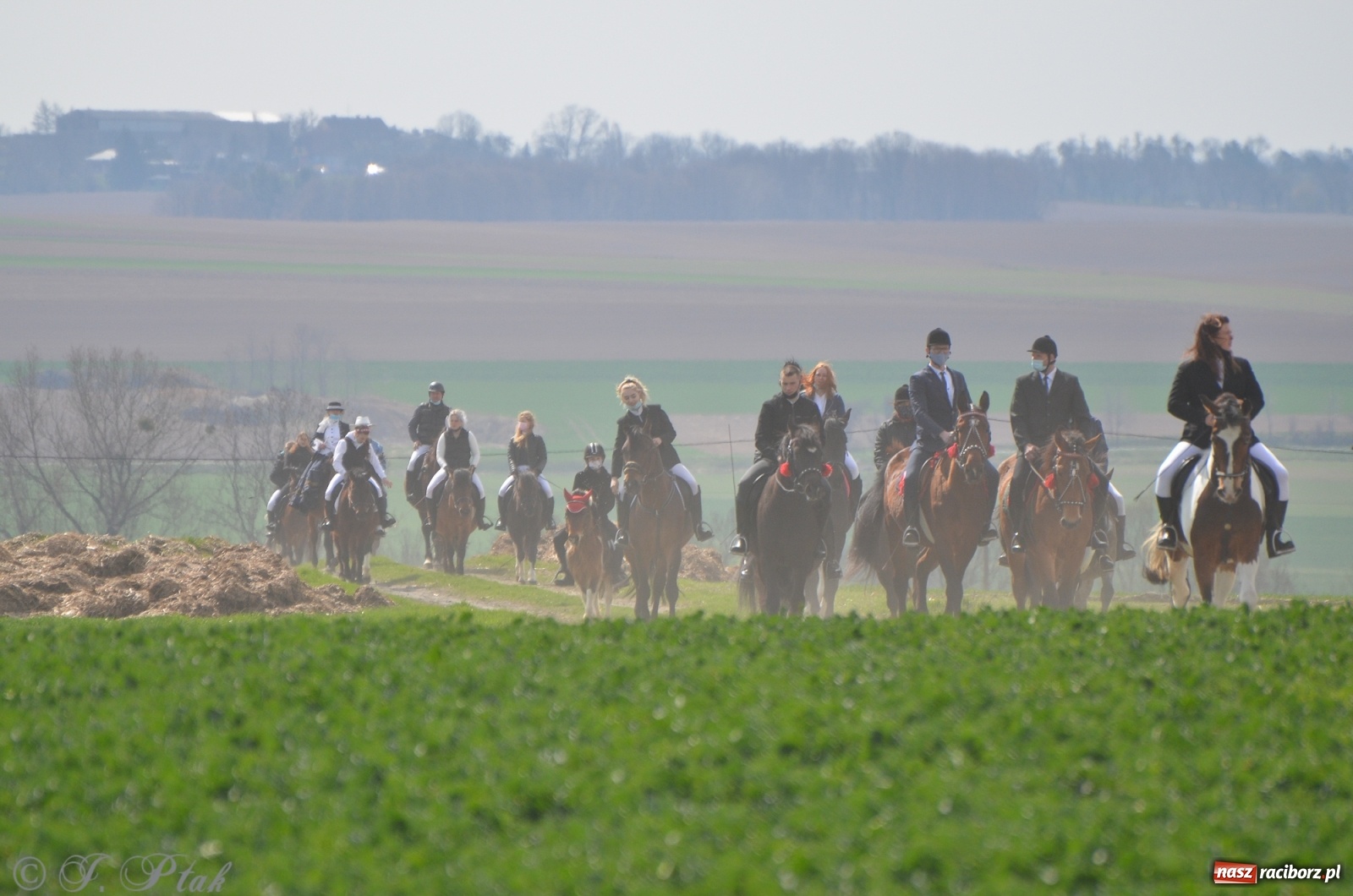 Zdjęcie w galerii na portalu naszraciborz.pl: Wielkanocne procesje konne w obiektywie [FOTO] wiadomości z regionu