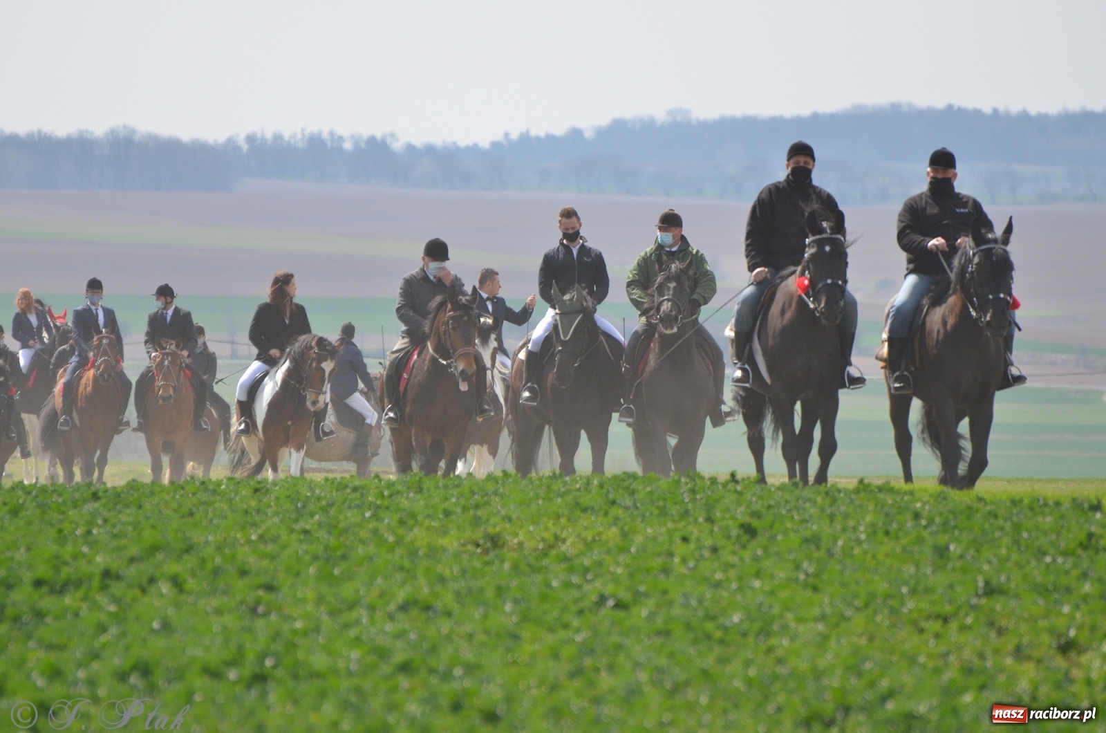 Zdjęcie w galerii na portalu naszraciborz.pl: Wielkanocne procesje konne w obiektywie [FOTO] wiadomości z regionu