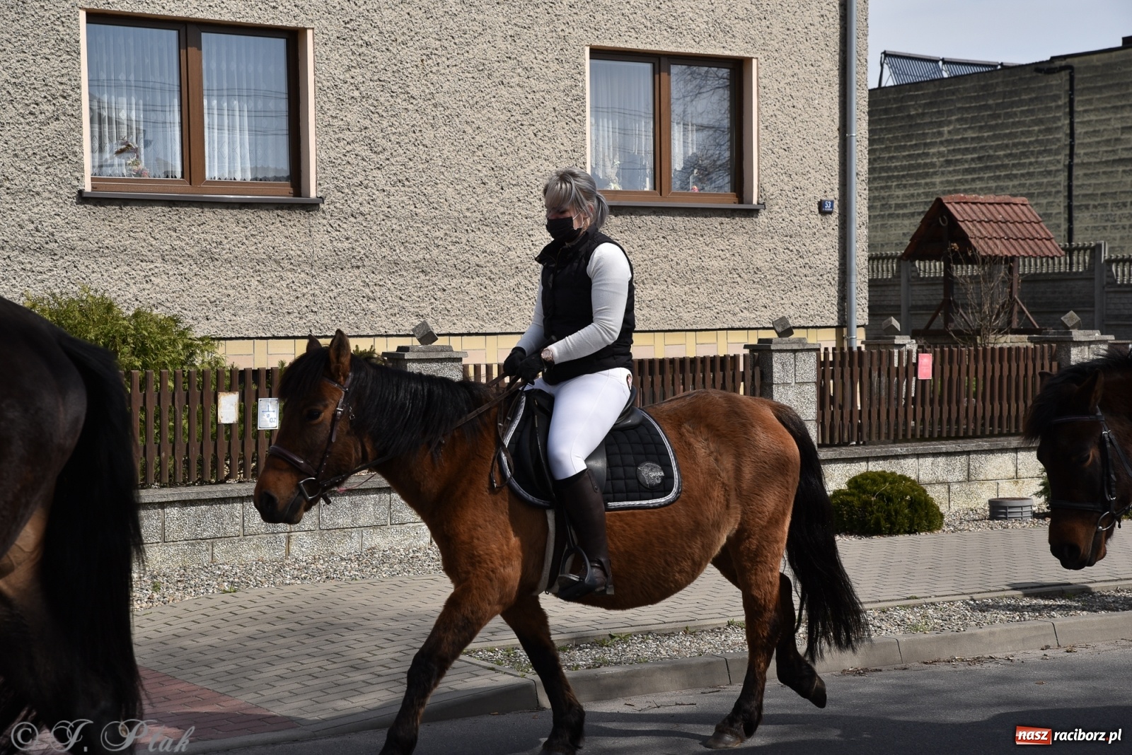 Zdjęcie w galerii na portalu naszraciborz.pl: Wielkanocne procesje konne w obiektywie [FOTO] wiadomości z regionu