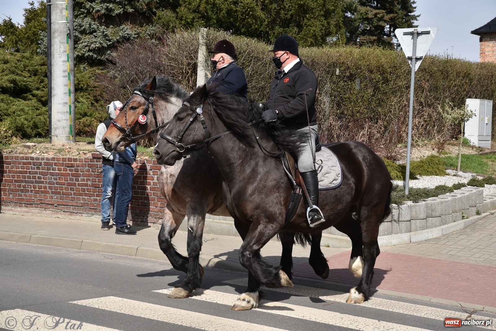 Zdjęcie w galerii na portalu naszraciborz.pl: Wielkanocne procesje konne w obiektywie [FOTO] wiadomości z regionu