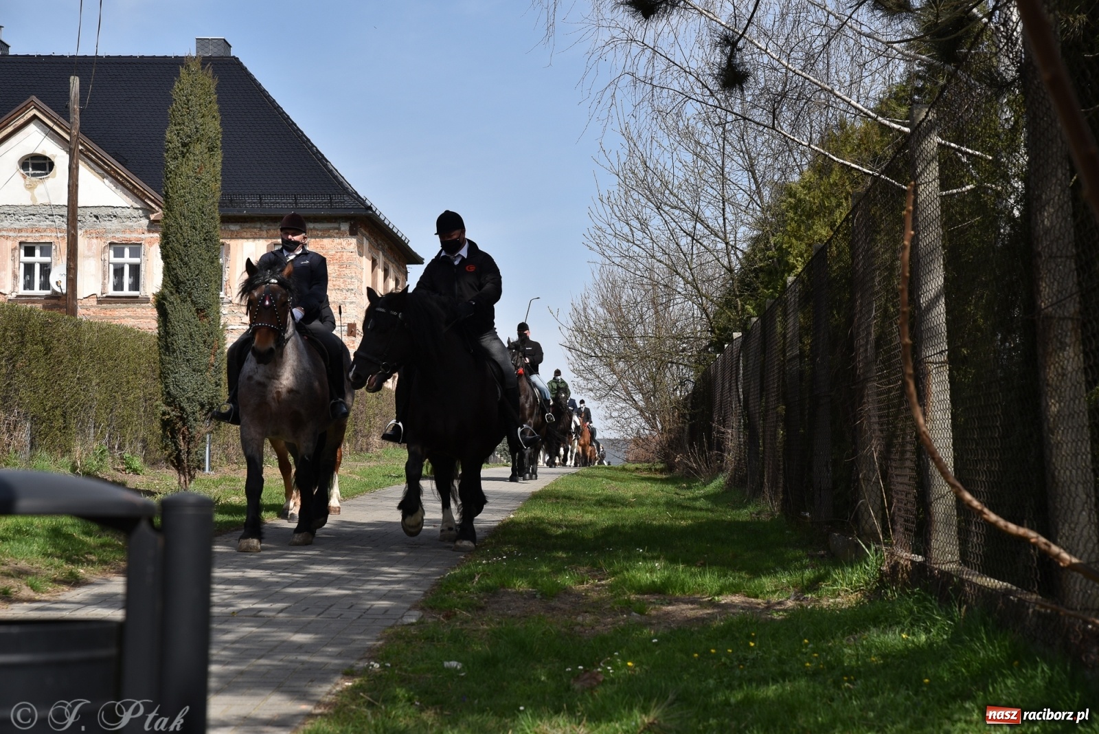 Zdjęcie w galerii na portalu naszraciborz.pl: Wielkanocne procesje konne w obiektywie [FOTO] wiadomości z regionu