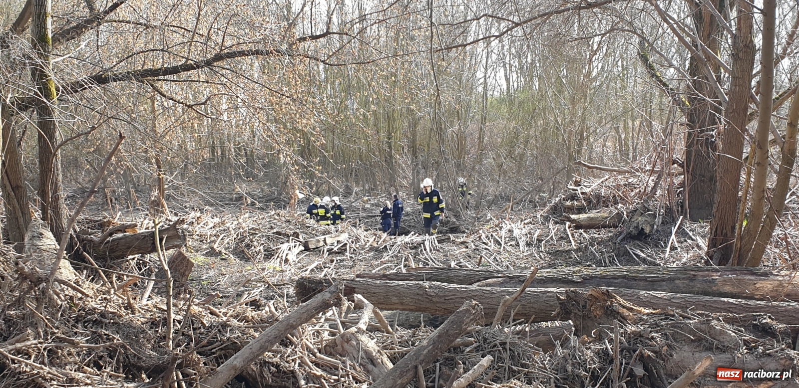 Zdjęcie w galerii na portalu naszraciborz.pl: Chałupki. Na Meandrach Odry ujawniono zwłoki ludzkie wiadomości z regionu