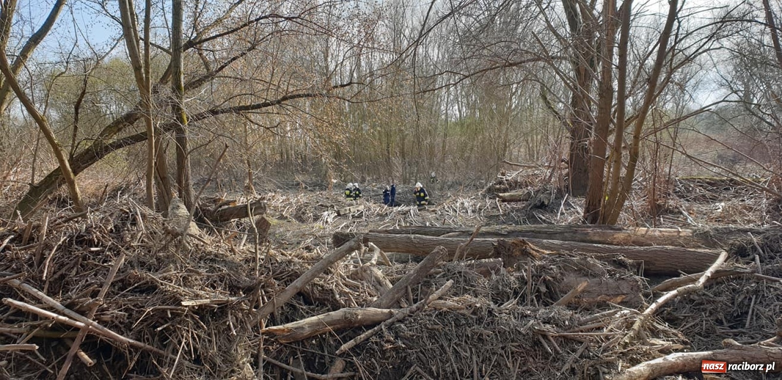 Zdjęcie w galerii na portalu naszraciborz.pl: Chałupki. Na Meandrach Odry ujawniono zwłoki ludzkie wiadomości z regionu