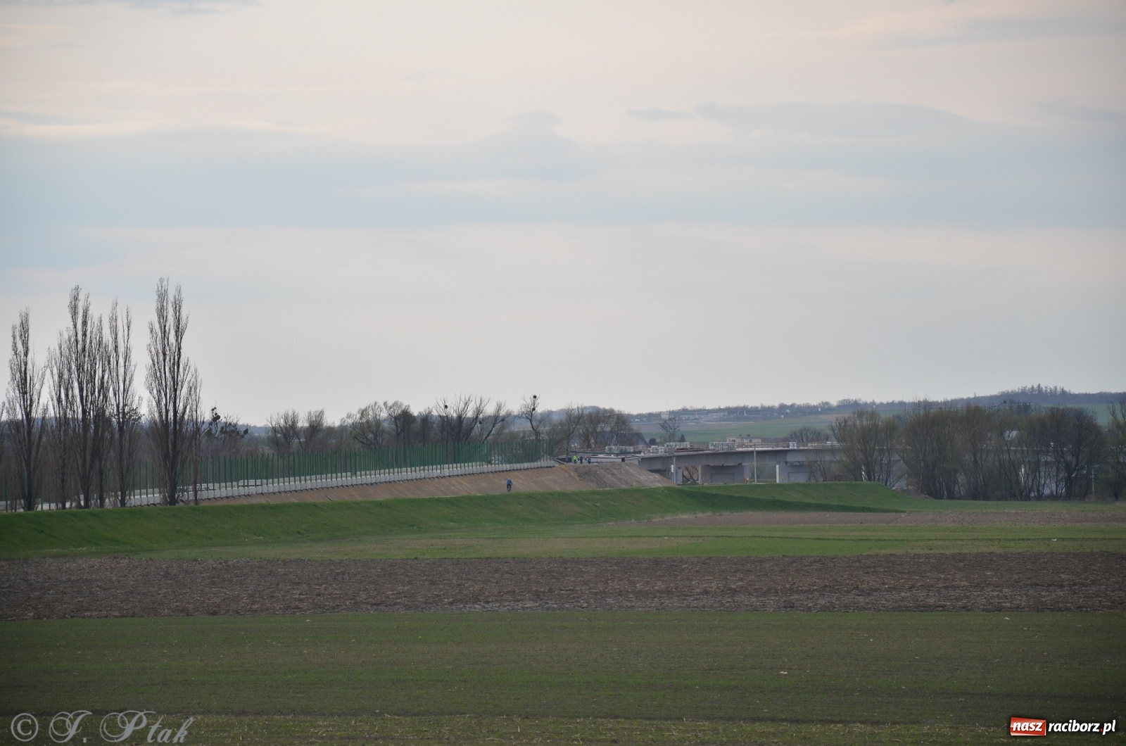 Zdjęcie w galerii na portalu naszraciborz.pl: Wschodnia obwodnica Raciborza rośnie jak na drożdżach [FOTO i WIDEO] wiadomości z regionu