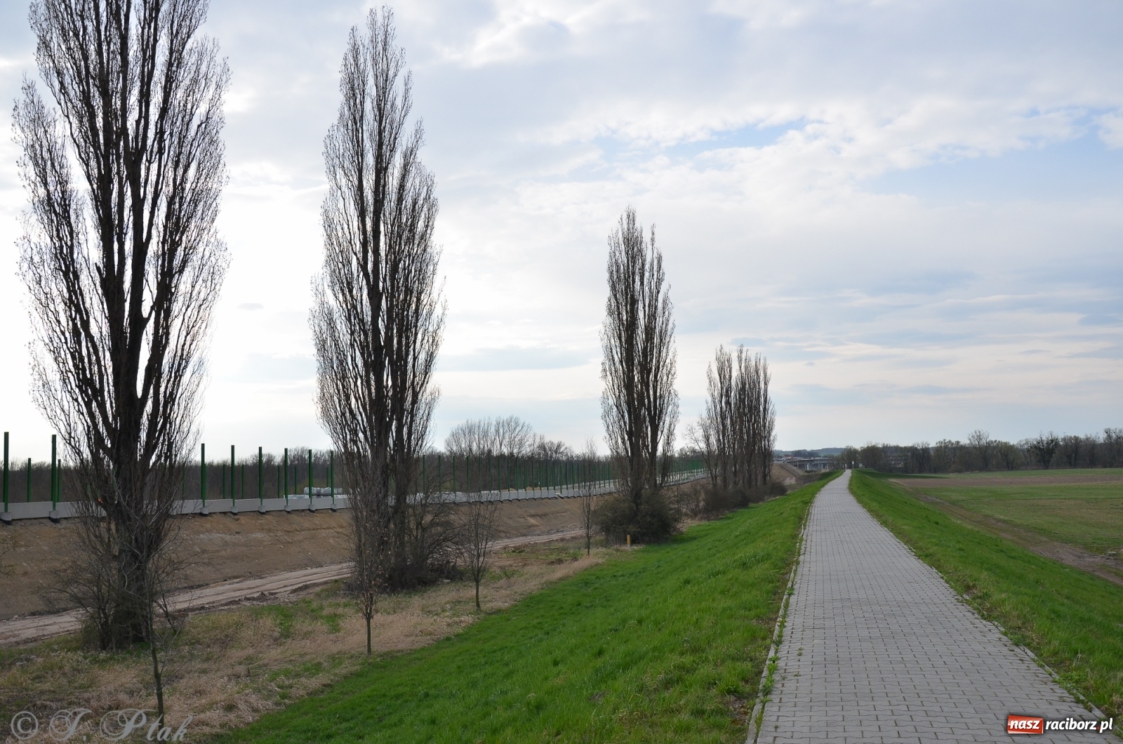 Zdjęcie w galerii na portalu naszraciborz.pl: Wschodnia obwodnica Raciborza rośnie jak na drożdżach [FOTO i WIDEO] wiadomości z regionu
