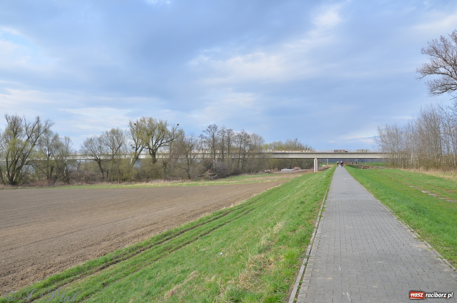 Zdjęcie w galerii na portalu naszraciborz.pl: Wschodnia obwodnica Raciborza rośnie jak na drożdżach [FOTO i WIDEO] wiadomości z regionu