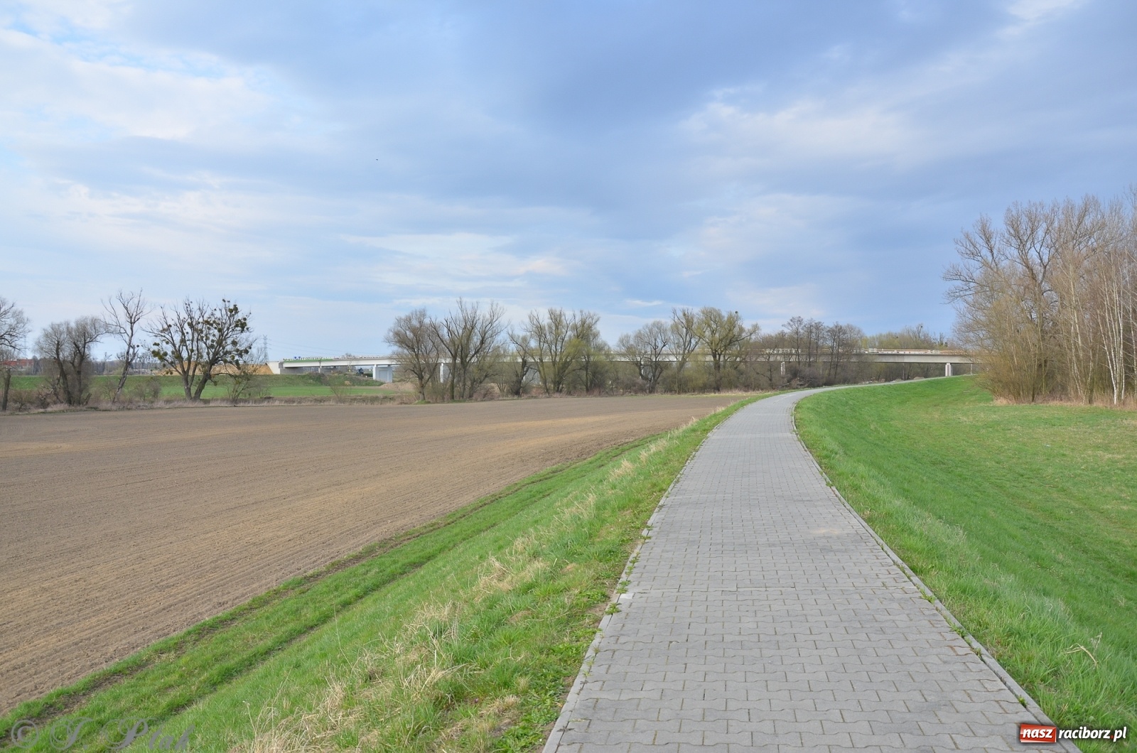 Zdjęcie w galerii na portalu naszraciborz.pl: Wschodnia obwodnica Raciborza rośnie jak na drożdżach [FOTO i WIDEO] wiadomości z regionu