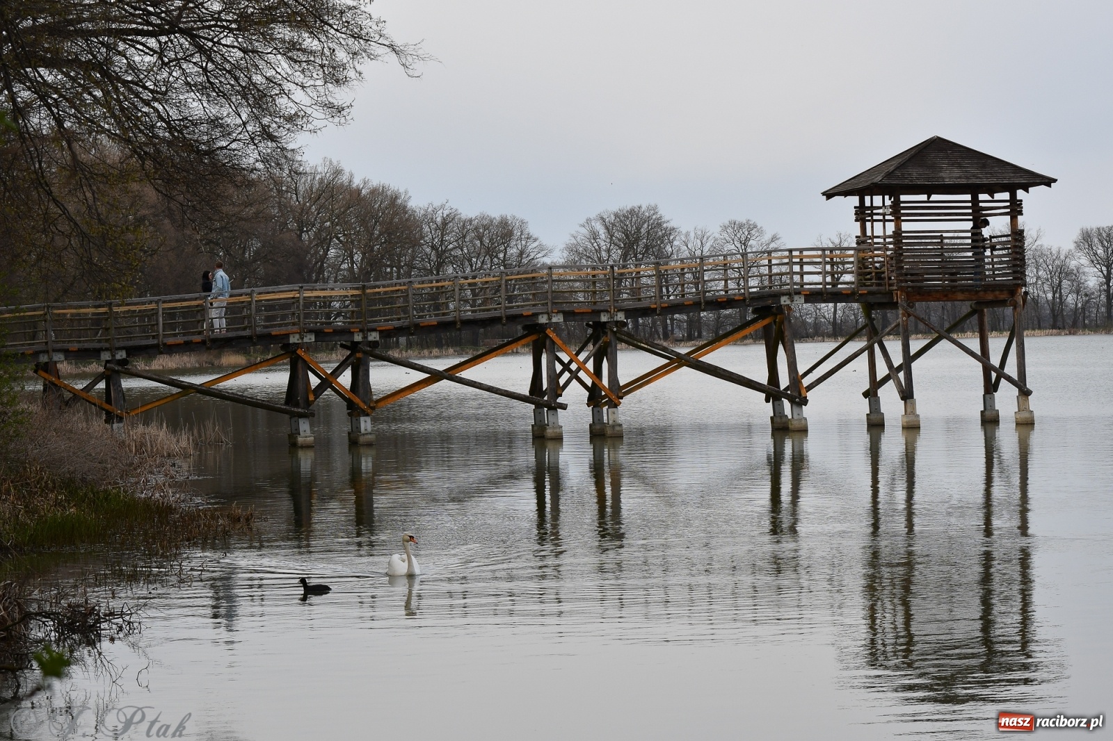 Zdjęcie w galerii na portalu naszraciborz.pl: Łężczok budzi się do życia. Album do pobrania [PDF] wiadomości z regionu